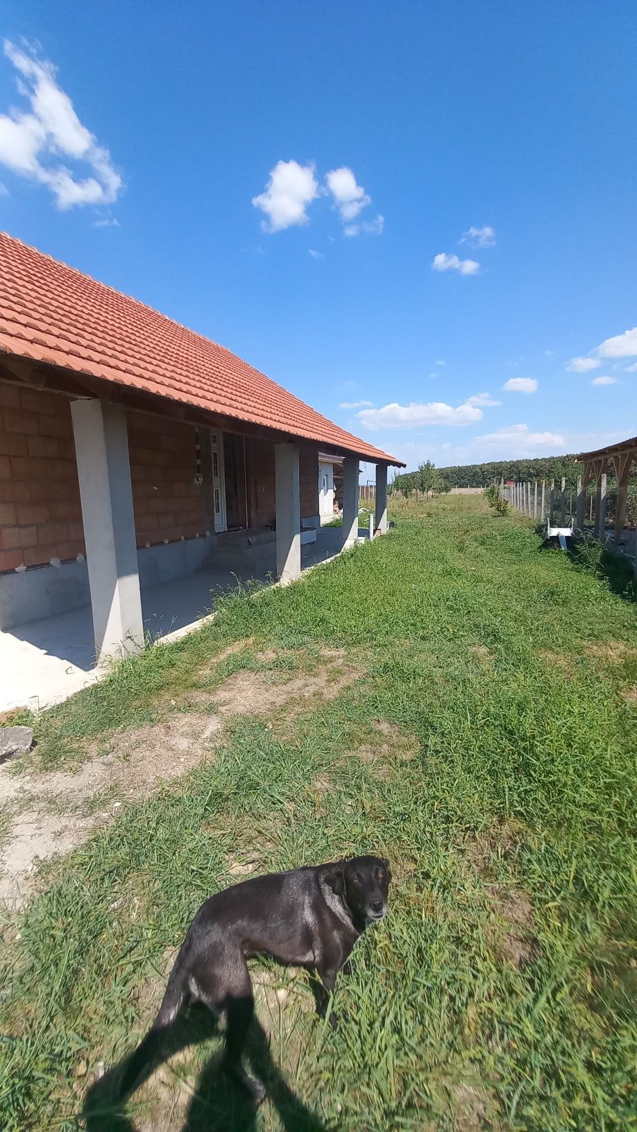 Vând casă în Gelu — fotografia 2