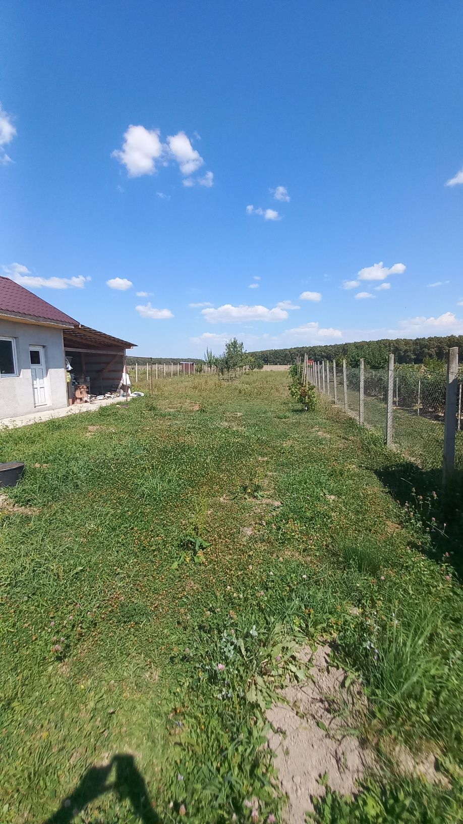 Vând casă în Gelu — fotografia 4