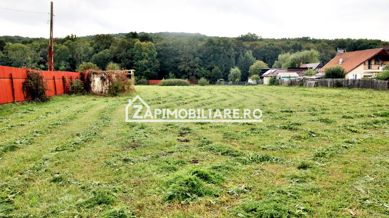 Teren Intravilan 5400 mp Corunca Valea Iubirii — fotografia 4