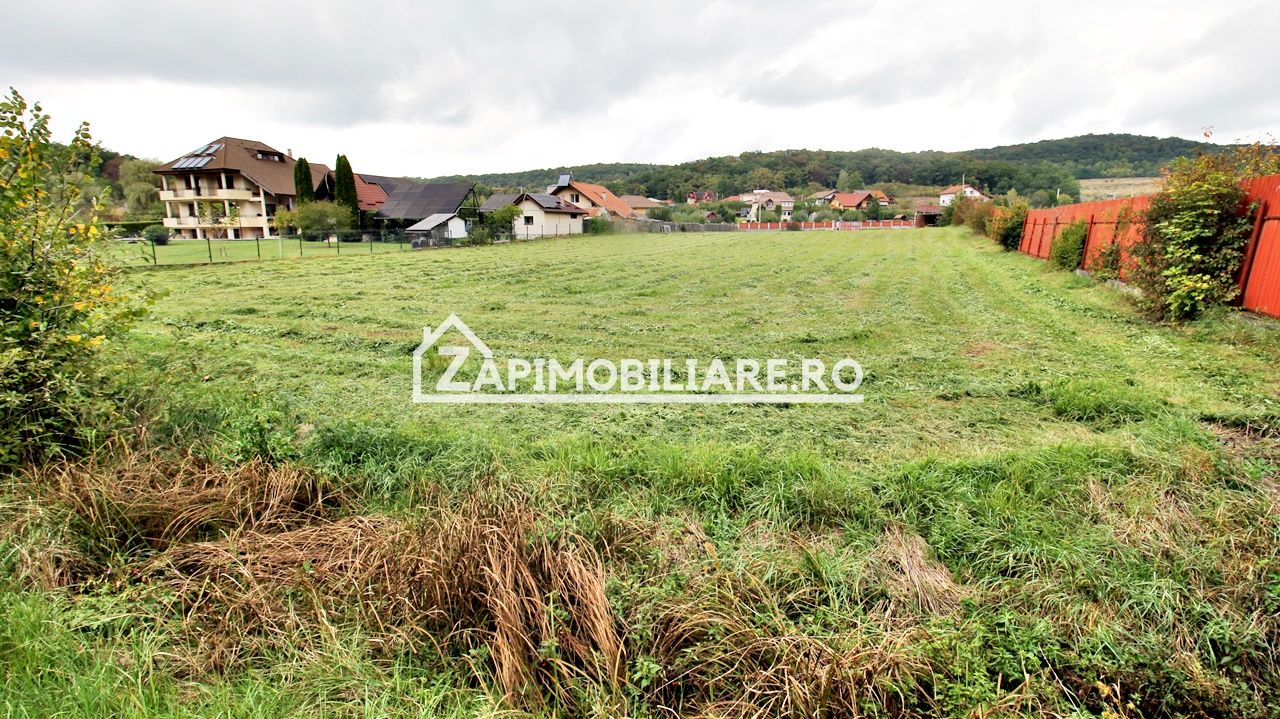 Teren Intravilan 5400 mp Corunca Valea Iubirii — fotografia 6