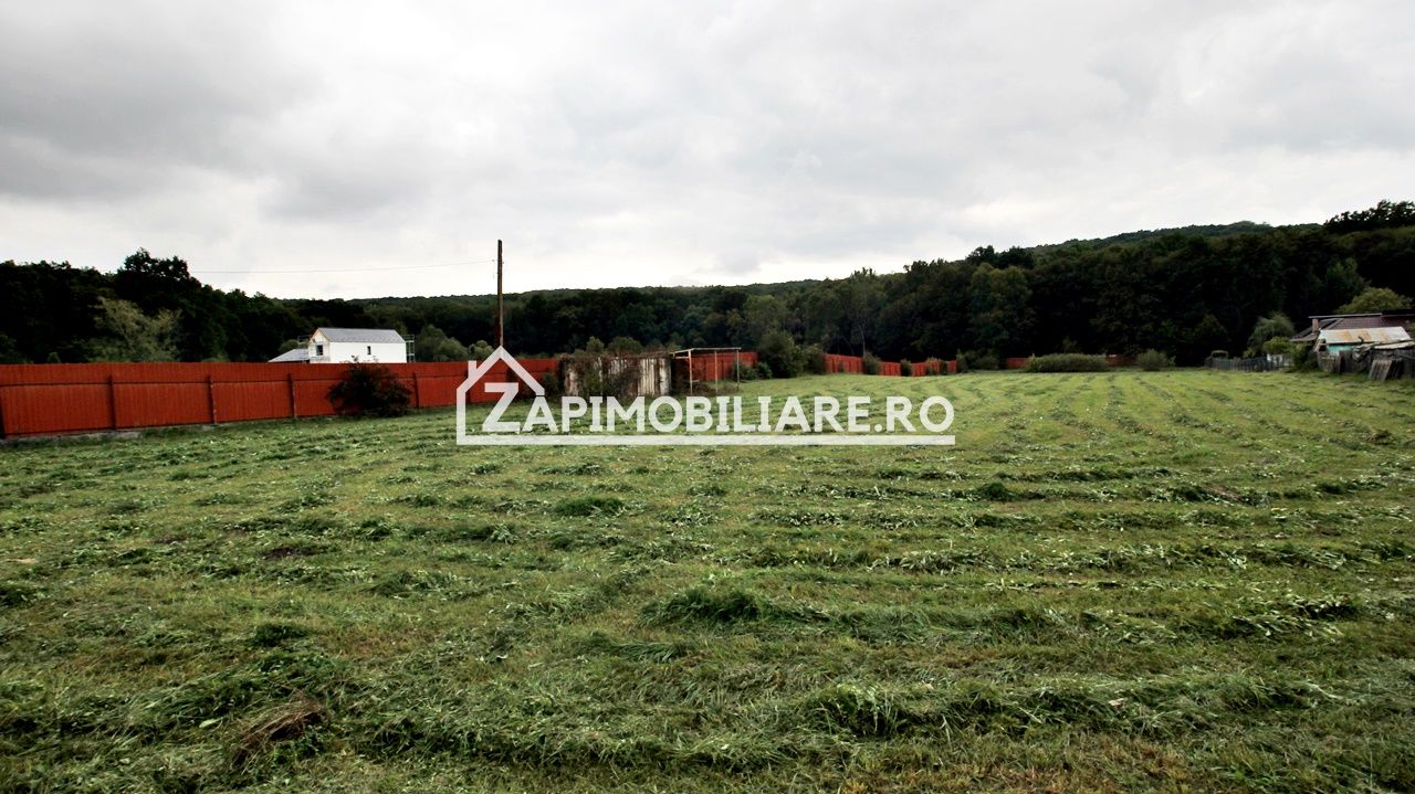 Teren Intravilan 5400 mp Corunca Valea Iubirii — fotografia 7