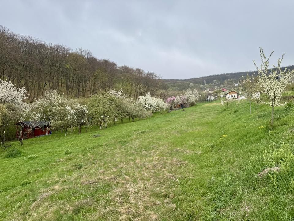 Teren intravilan Deva- Roci