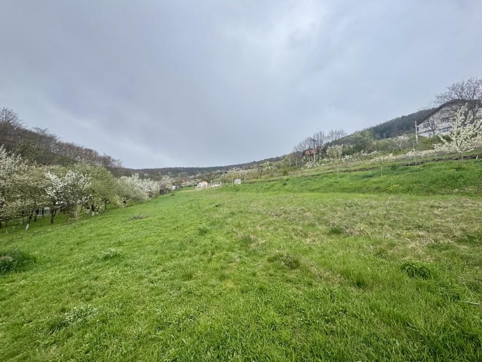 Teren intravilan Deva- Roci — fotografia 4