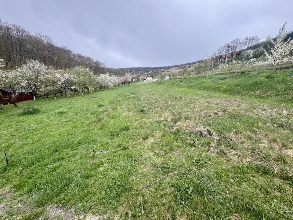 Teren intravilan Deva- Roci — fotografia 6