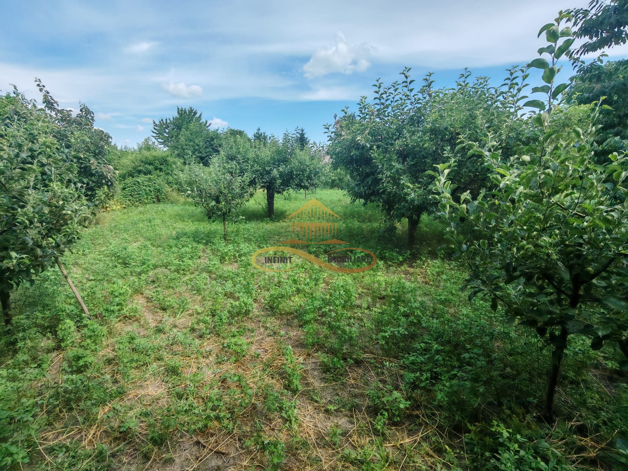 Casa complet mobilata, 3 dormitoare, garaj și livada – Racaciuni — fotografia 15