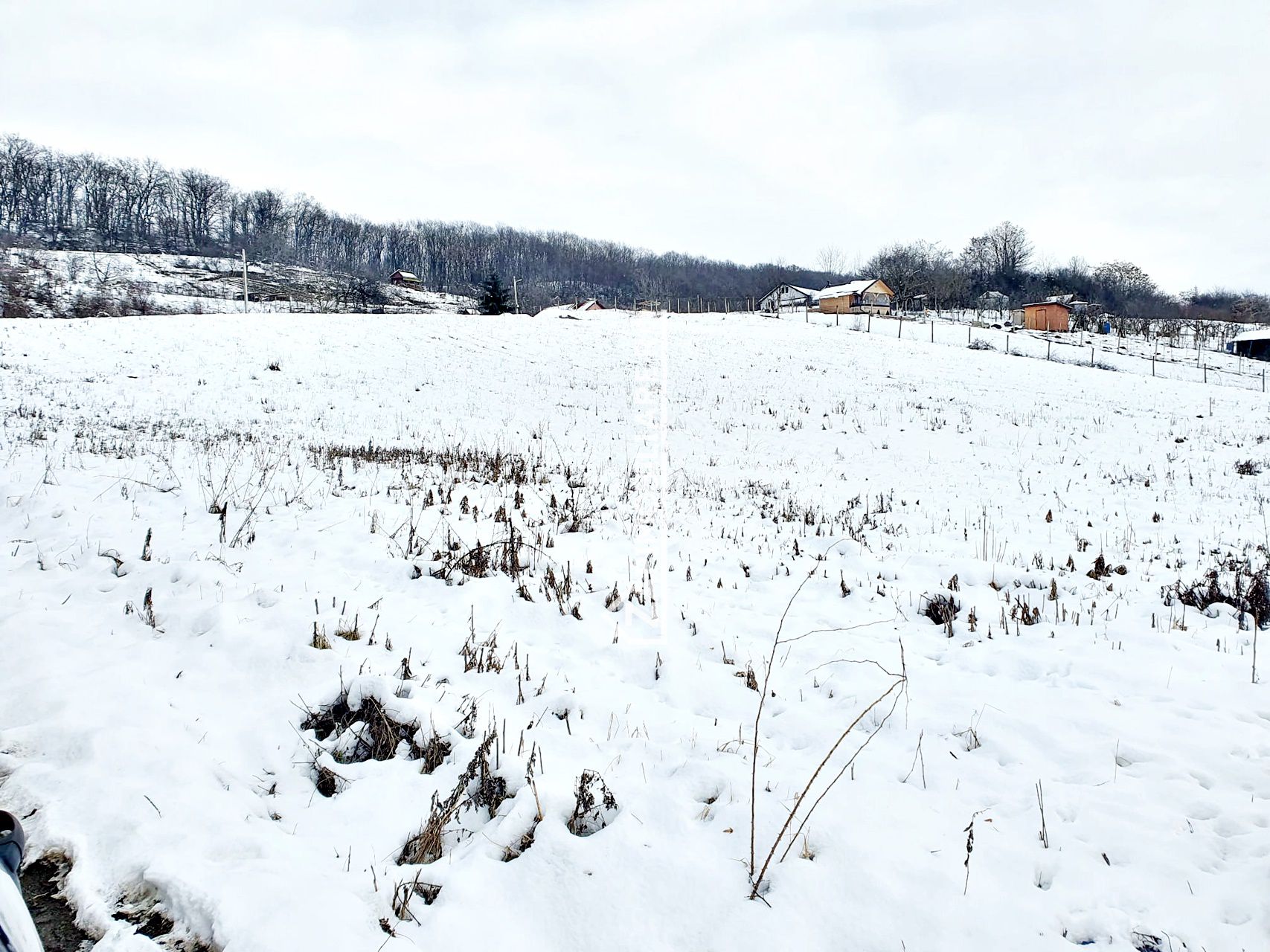 Teren intravilan 1.500 mp. Corunca Valea Iubirii 65 euro mp — fotografia 6