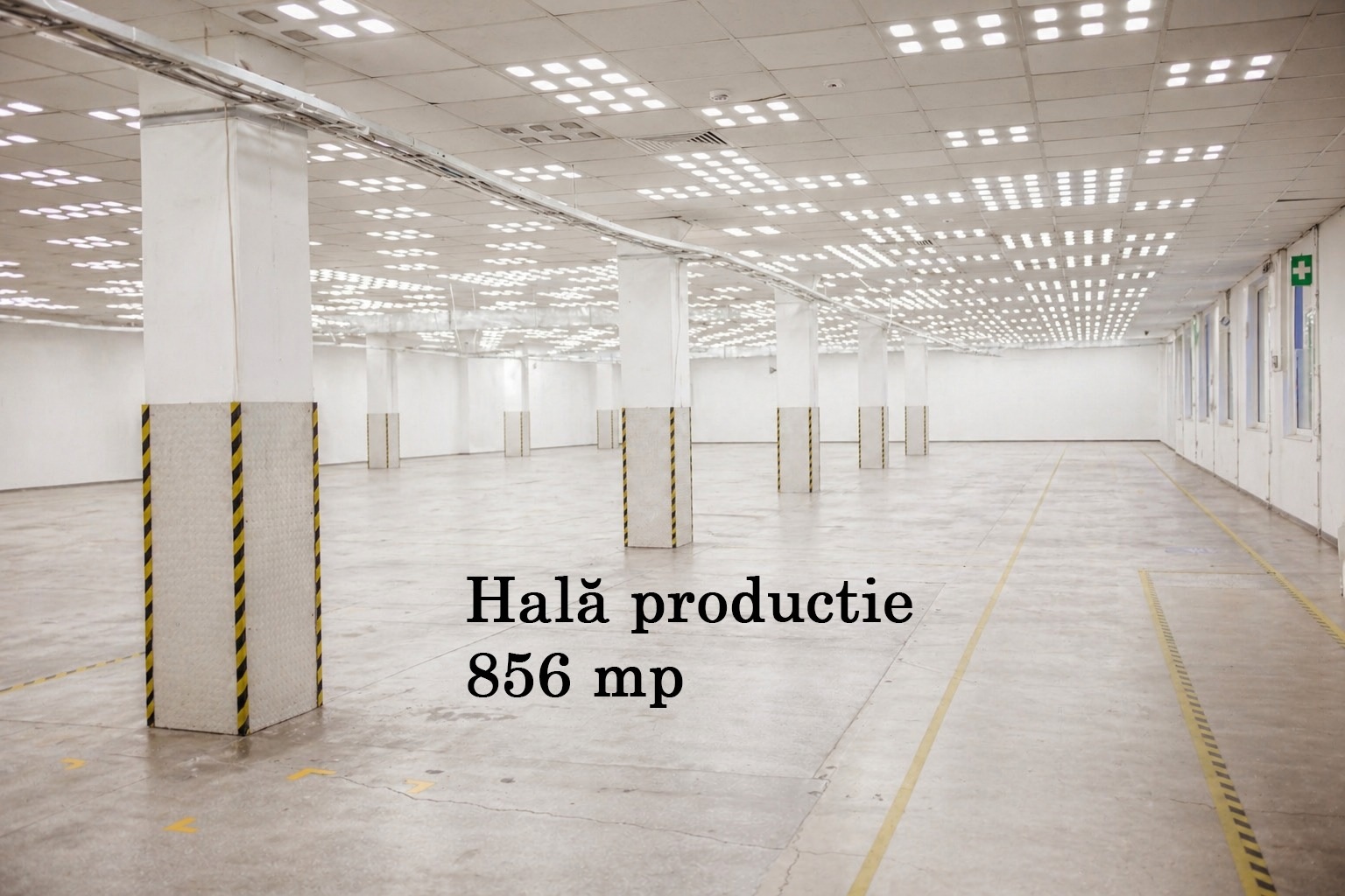 HALĂ INDUSTRIALĂ PREMIUM DE ÎNCHIRIAT ÎN JIBOU – 2.700 MP