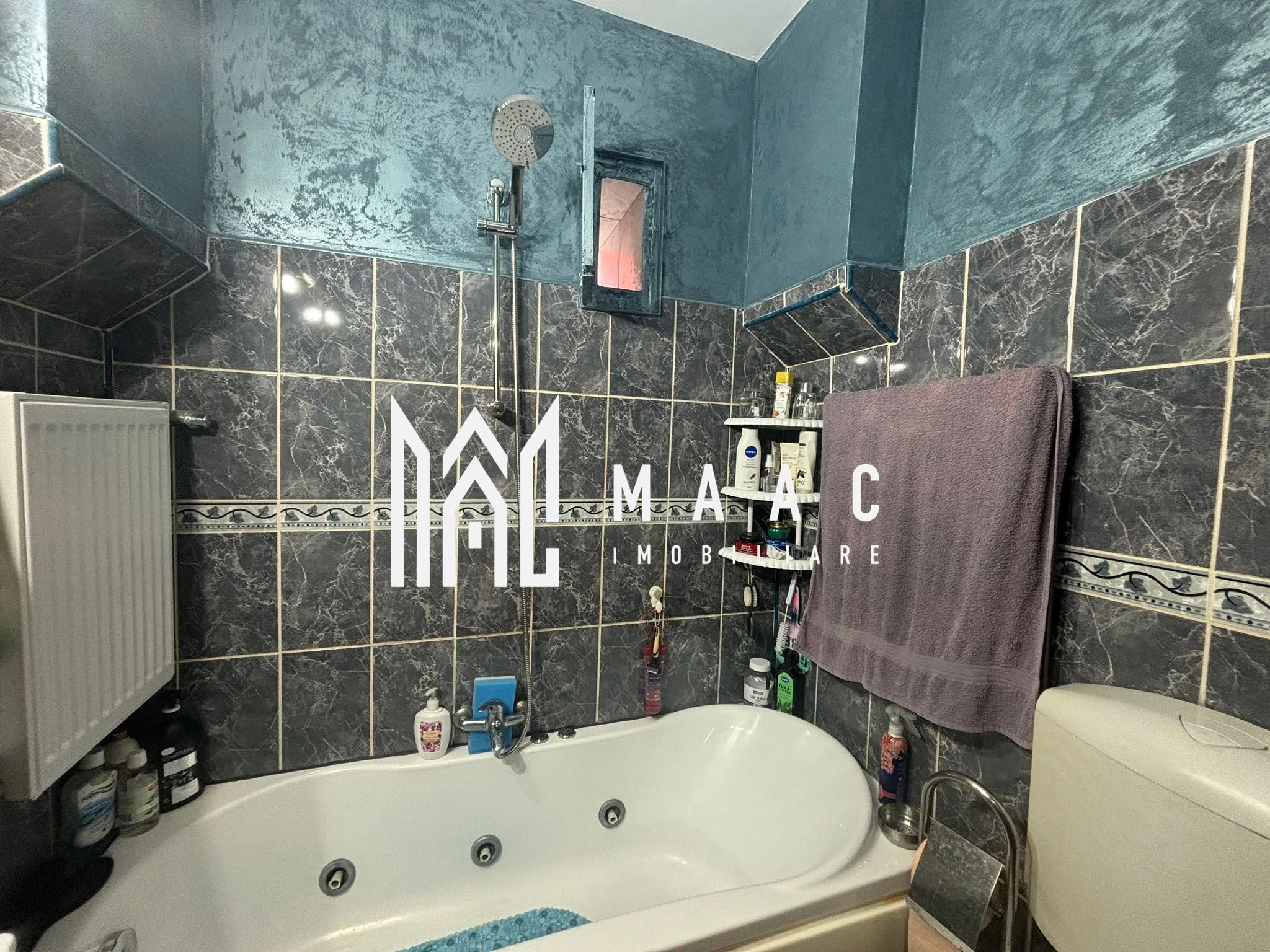 Casa Individuala | 150MPU | 494MP Teren | Sura Mare — fotografia 12