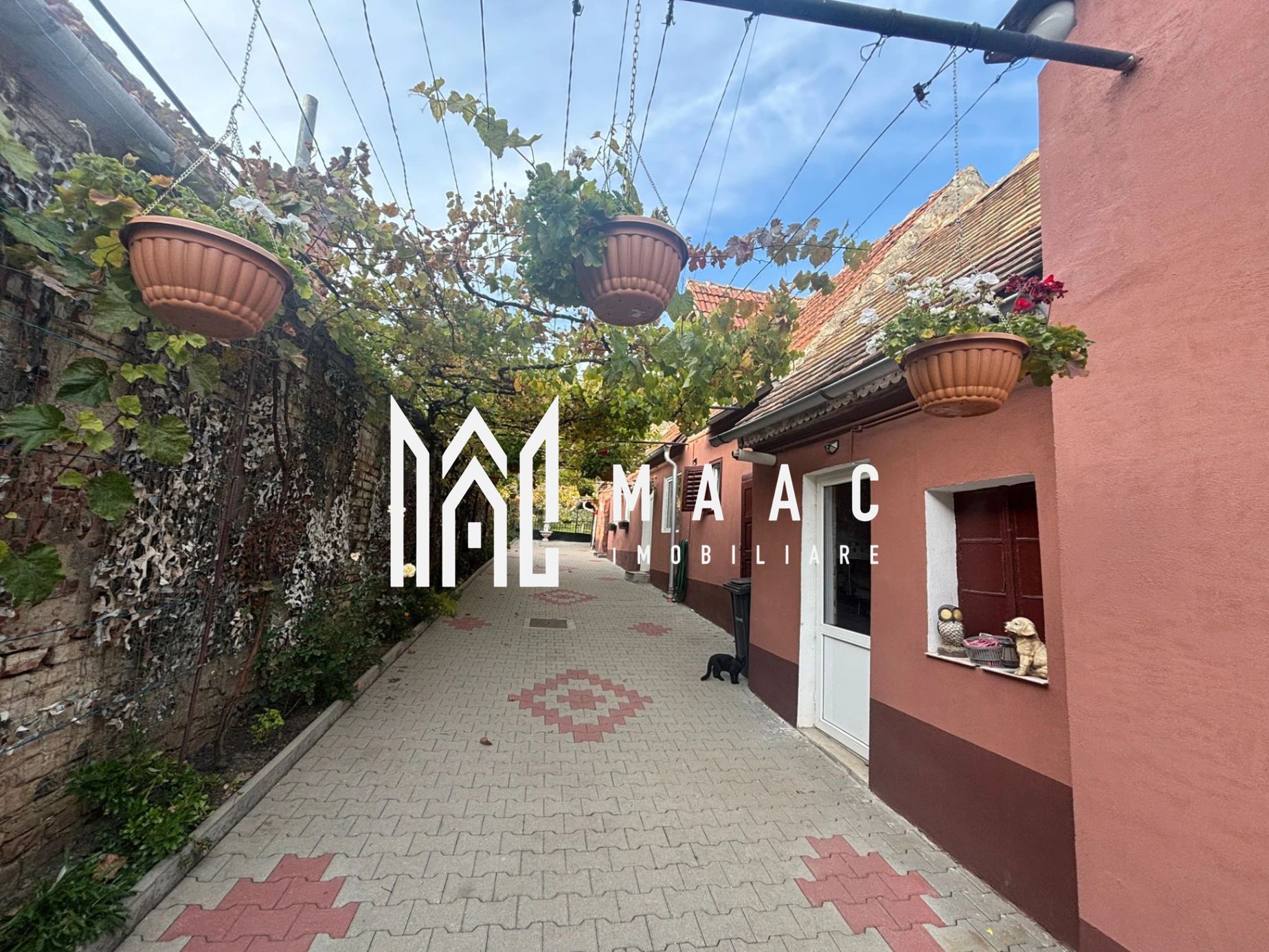Casa Individuala | 150MPU | 494MP Teren | Sura Mare — fotografia 19