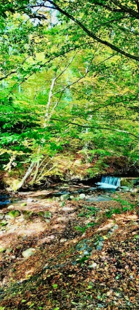 A/14831 Casă singur în curte 10 camere de vânzare în Sovata — fotografia 17