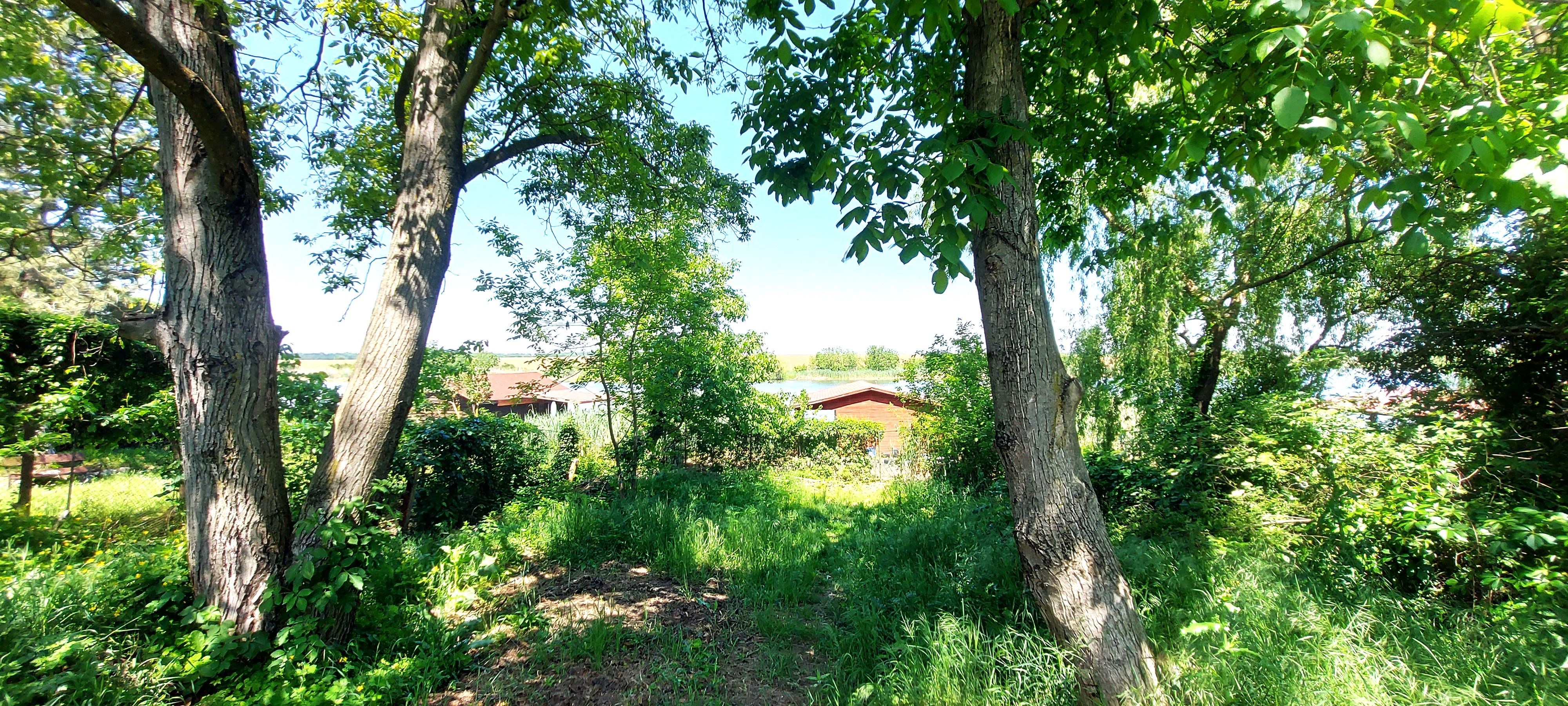 Teren Snagov - Ciofliceni cu deschidere la lac | Ponton si garaj barca — fotografia 6