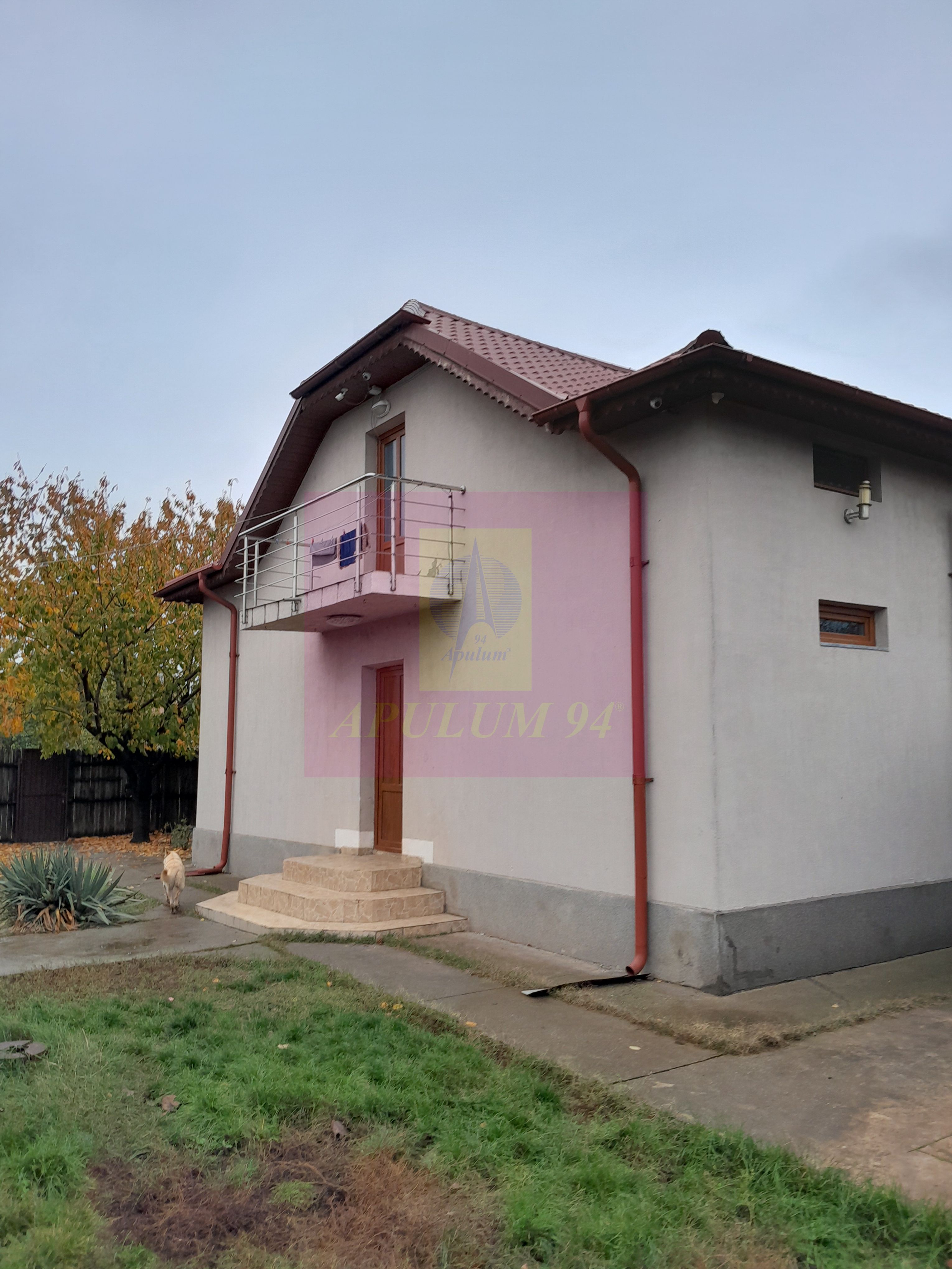 ILFOV - SE VINDE CASA IN ISLAZ / COM. BRANESTI — fotografia 3