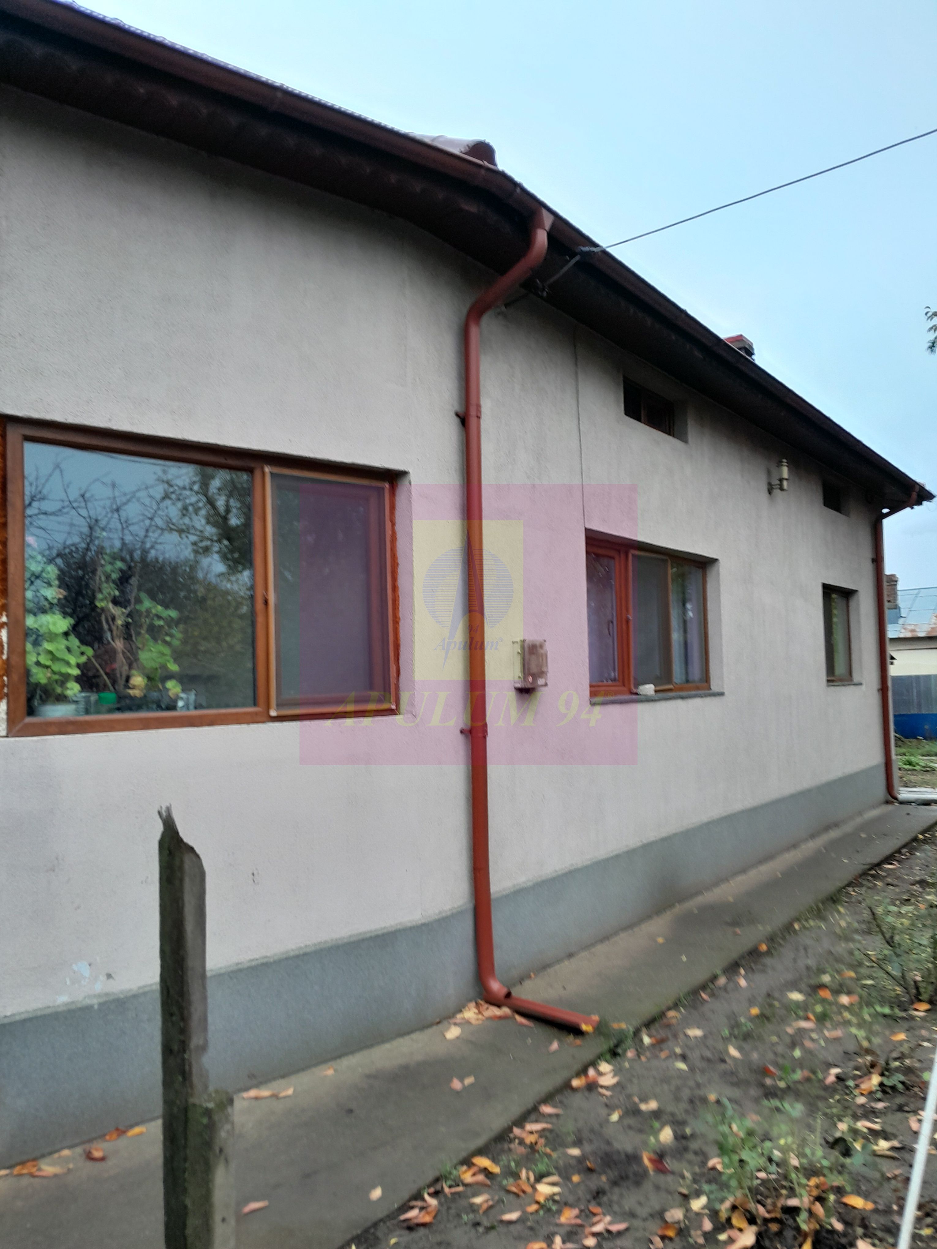 ILFOV - SE VINDE CASA IN ISLAZ / COM. BRANESTI — fotografia 5