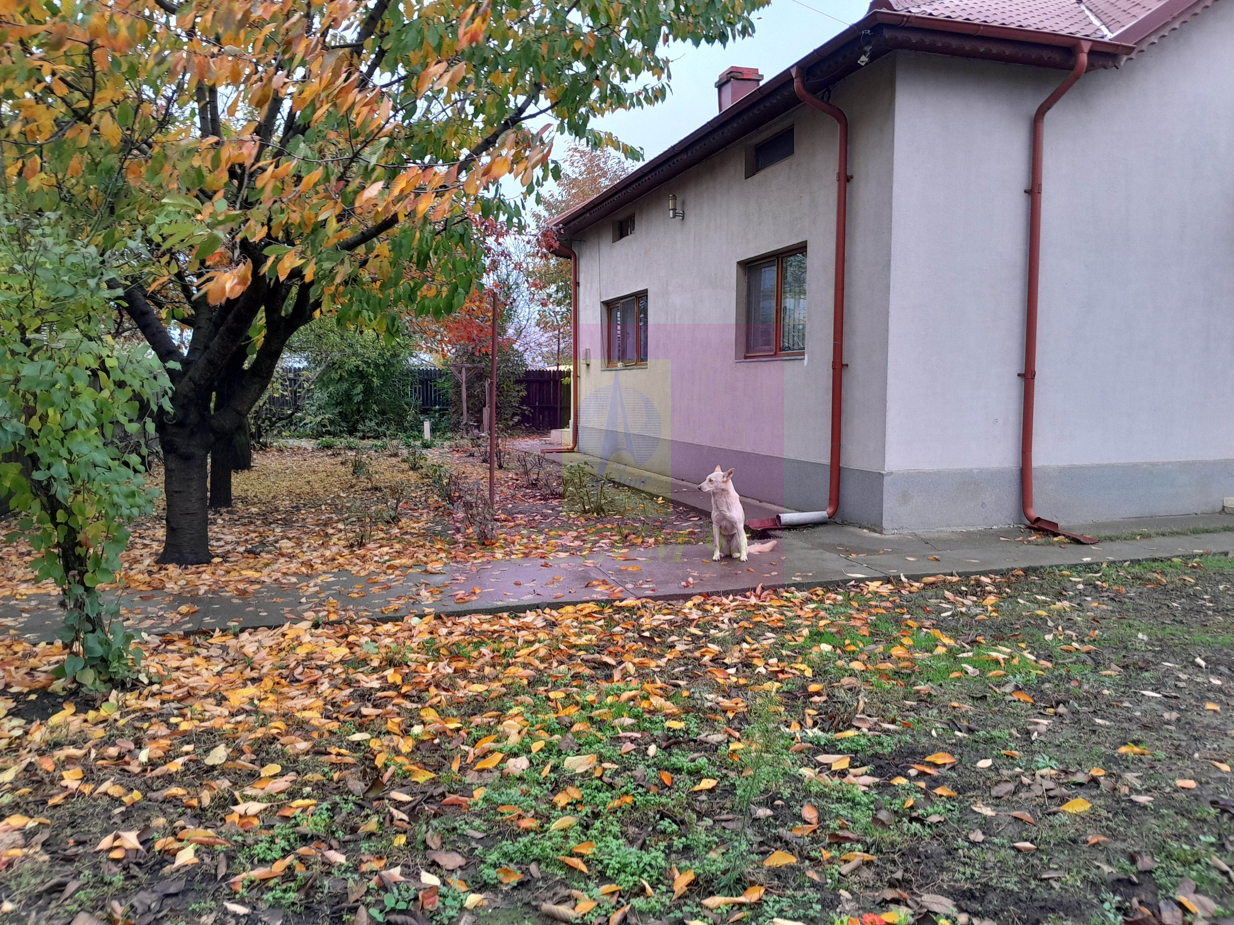 ILFOV - SE VINDE CASA IN ISLAZ / COM. BRANESTI — fotografia 6