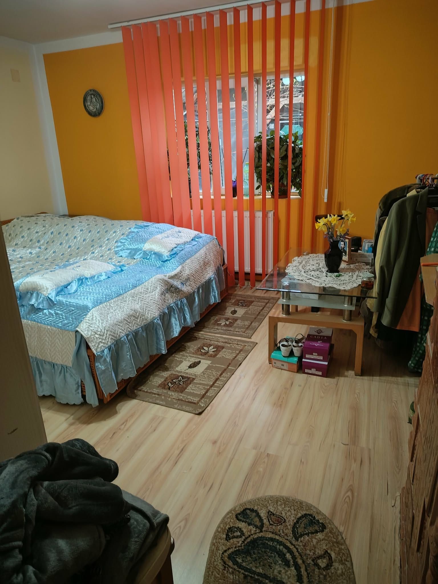 Casă cu 4 camere și teren generos de 2.370 mp – Deta, Strada 1 Mai — fotografia 5