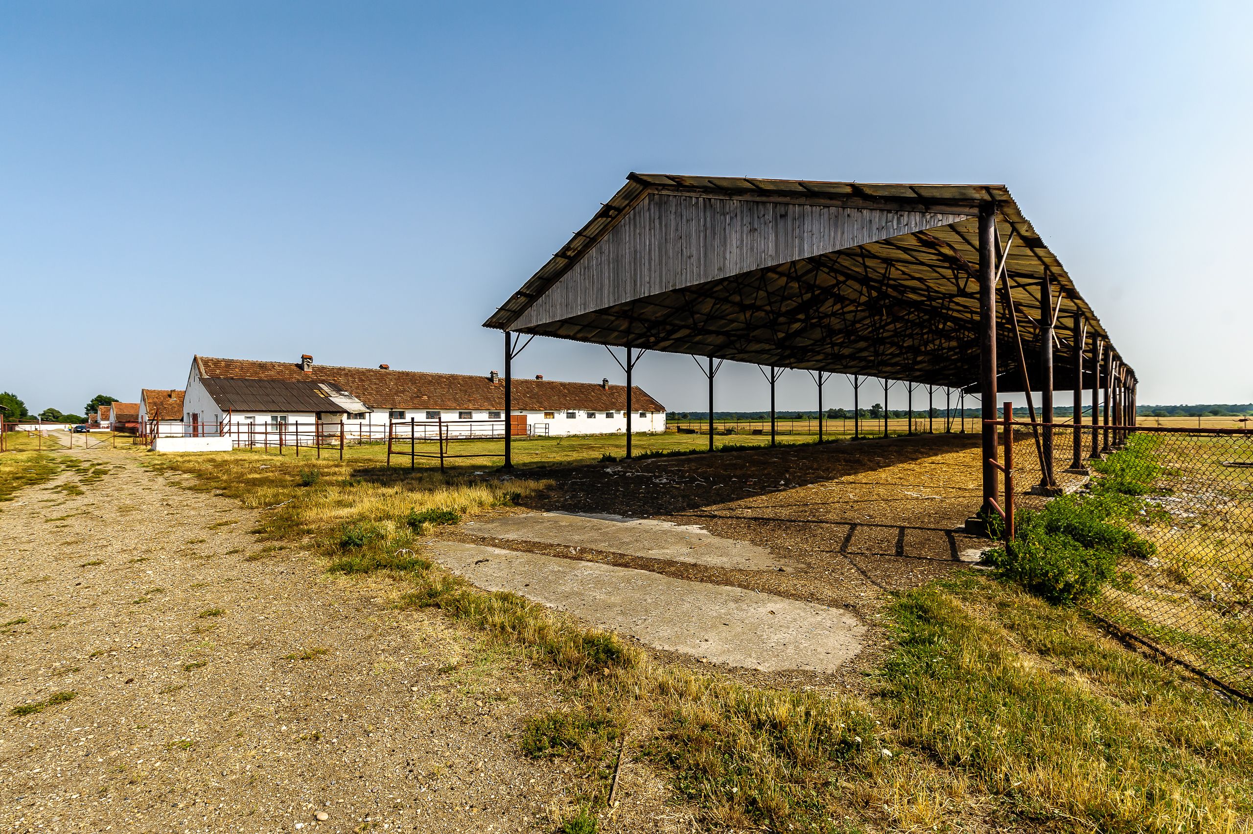 Fermă Mândruloc 2,5 ha — fotografia 11