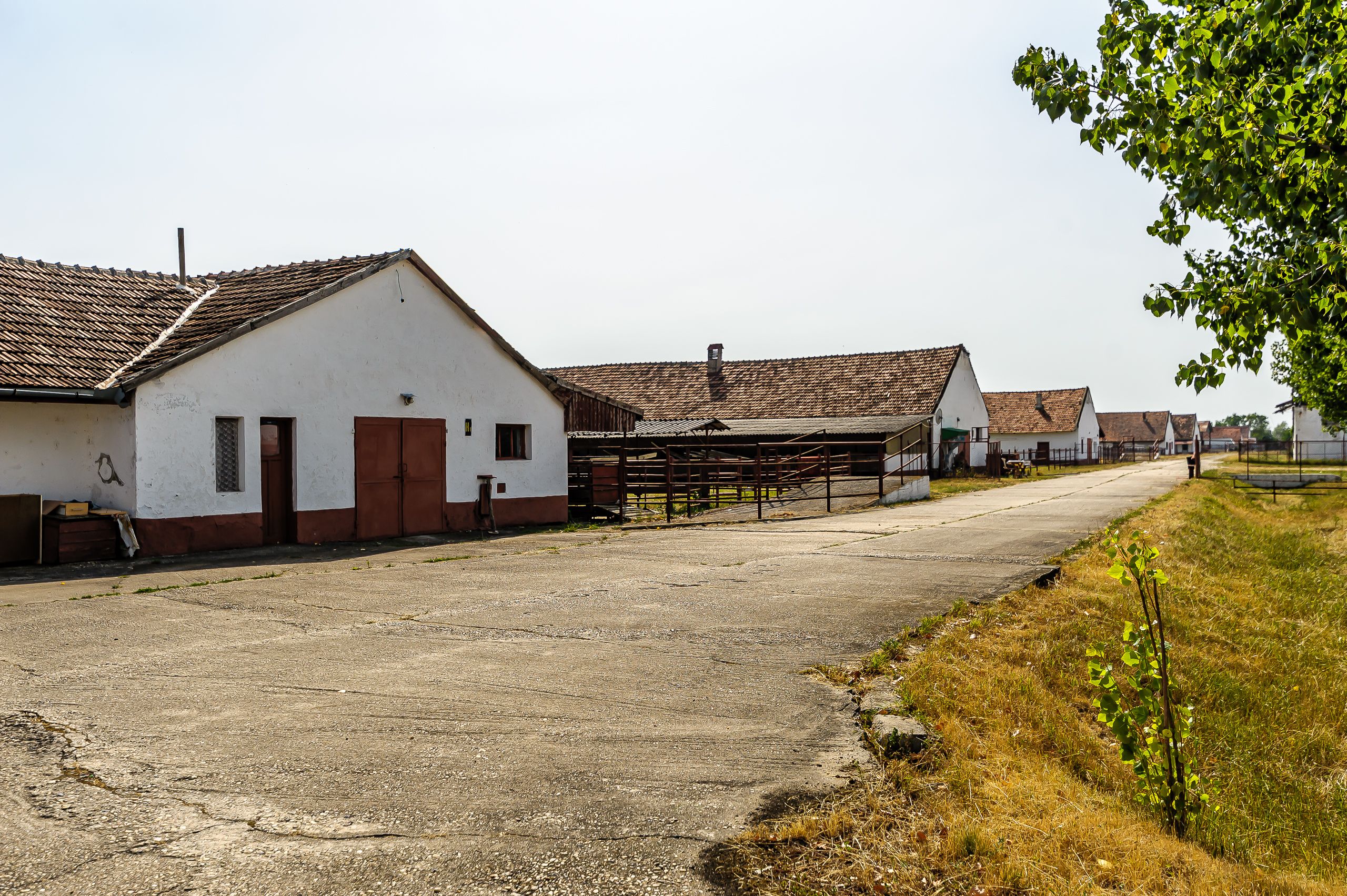 Fermă Mândruloc 2,5 ha — fotografia 3