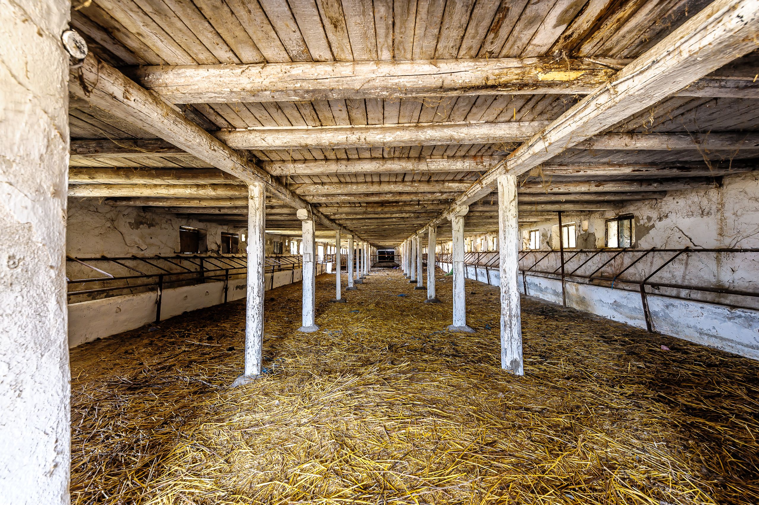Fermă Mândruloc 2,5 ha — fotografia 4