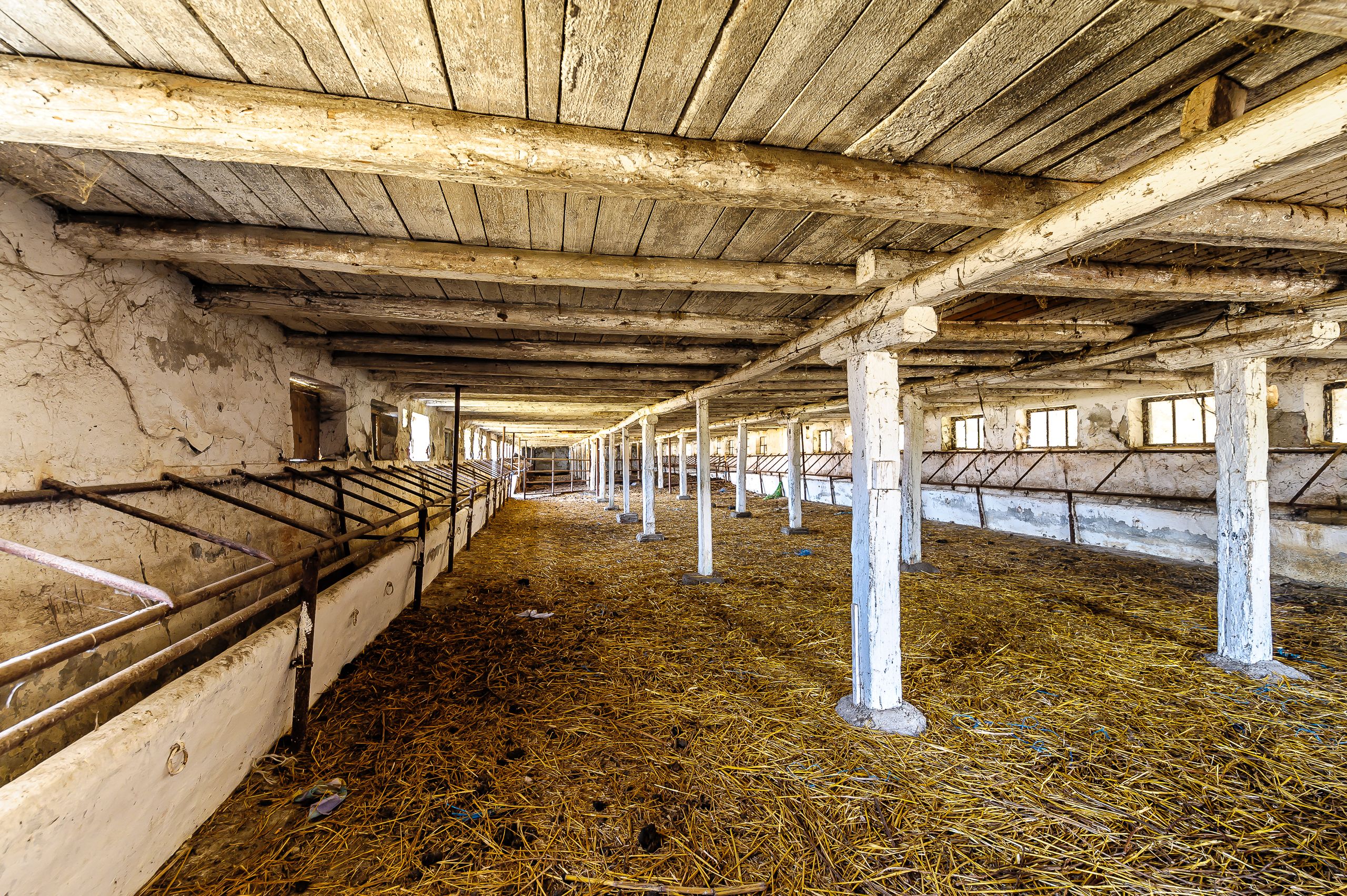 Fermă Mândruloc 2,5 ha — fotografia 5