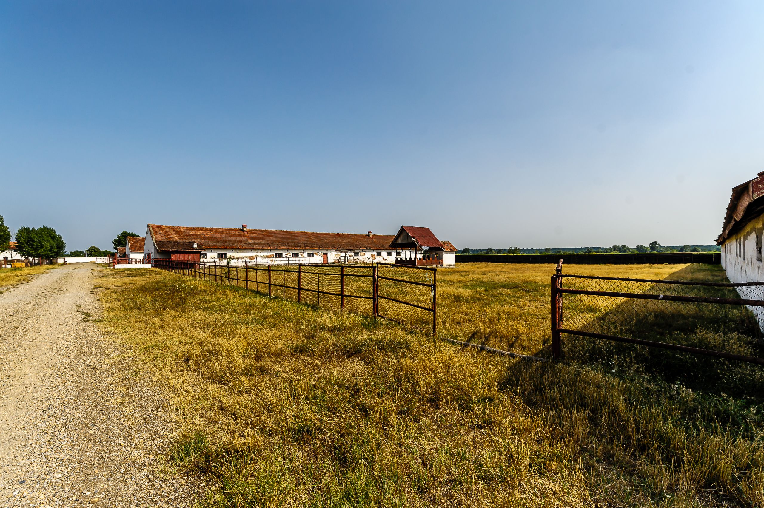 Fermă Mândruloc 2,5 ha — fotografia 6