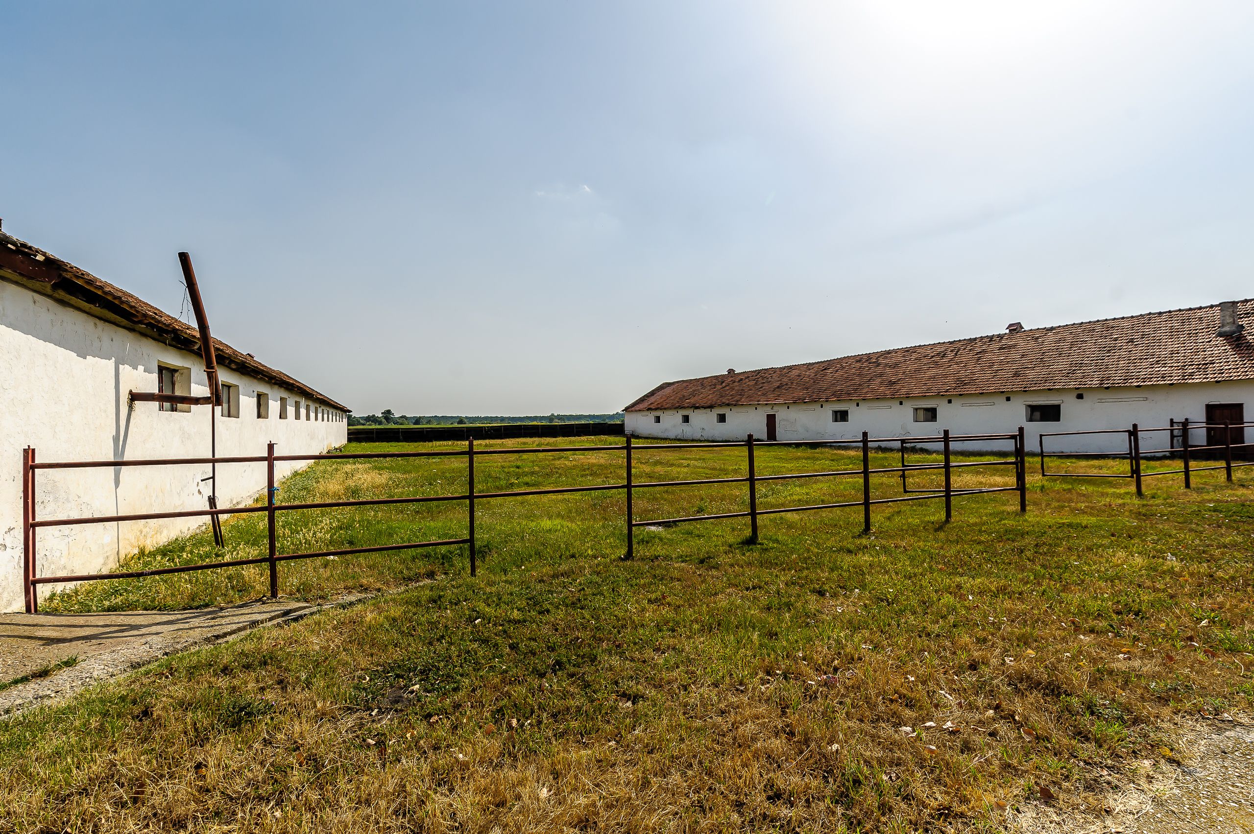 Fermă Mândruloc 2,5 ha — fotografia 7