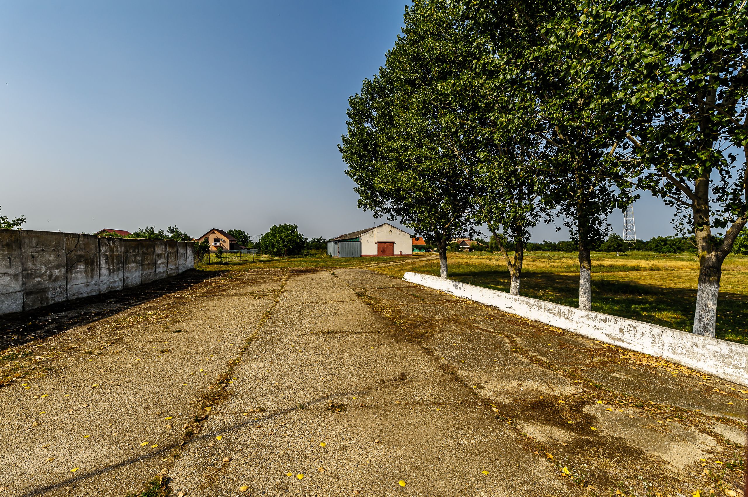 Fermă Mândruloc 2,5 ha — fotografia 8