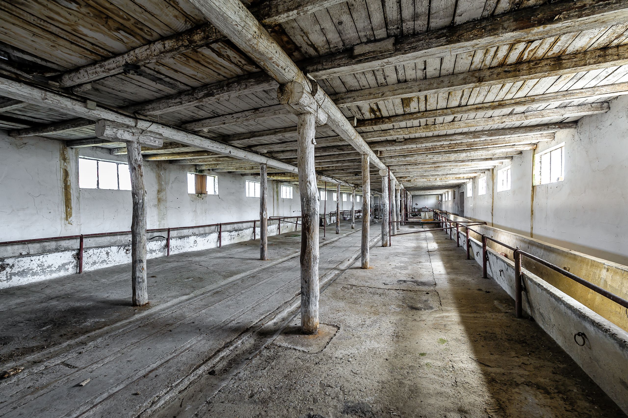 Fermă Mândruloc 2,5 ha — fotografia 9