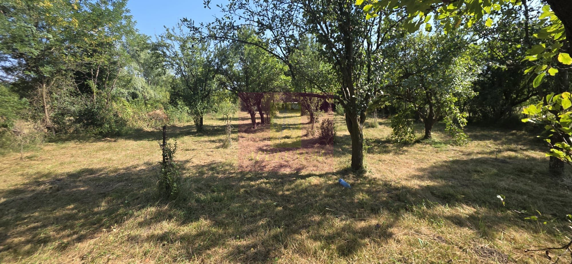 Teren intravilan de vanzare 3375 mp in Brebu — fotografia 4