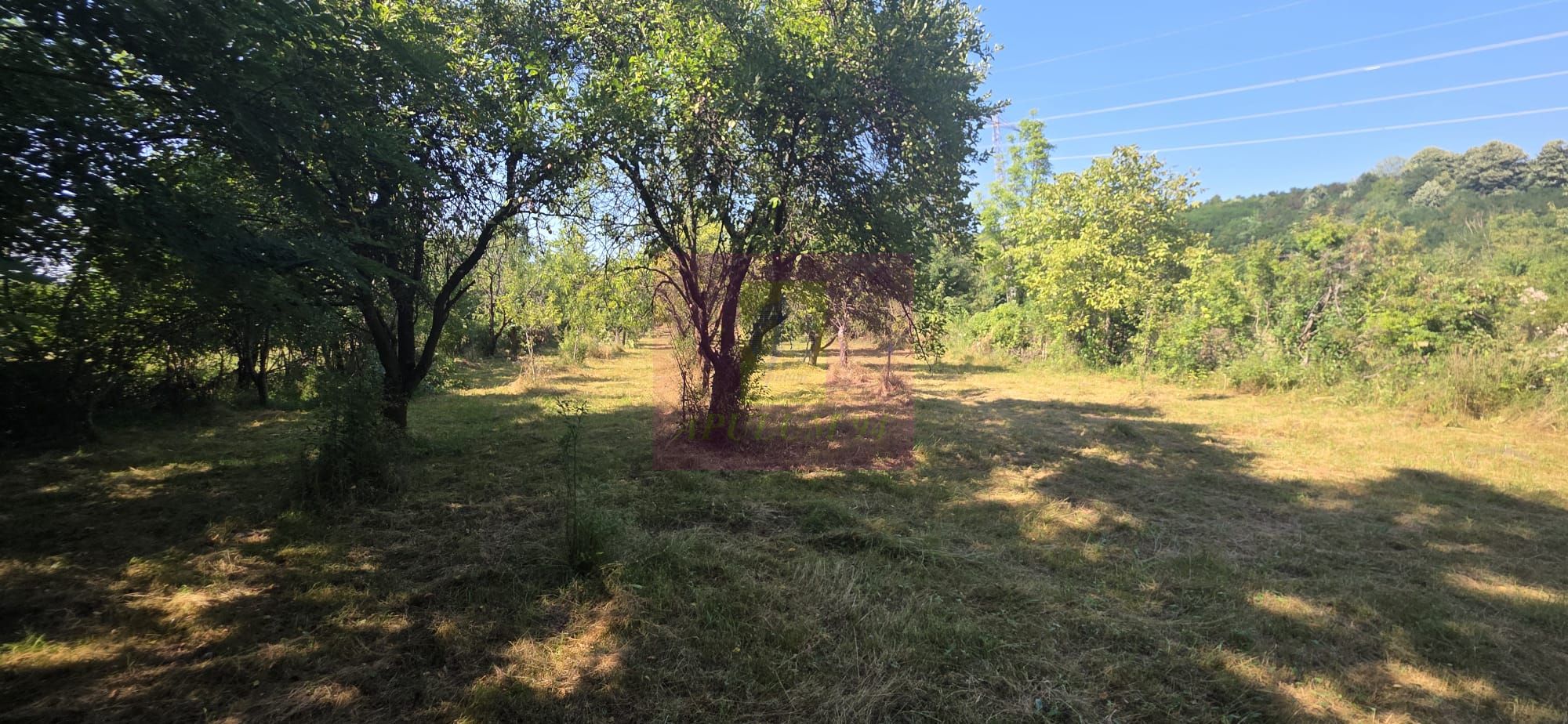 Teren intravilan de vanzare 3375 mp in Brebu — fotografia 5