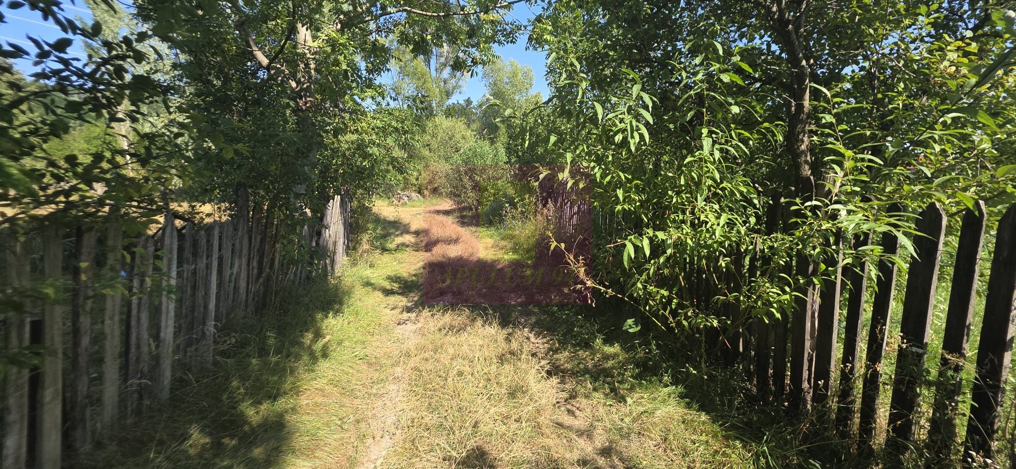 Teren intravilan de vanzare 3375 mp in Brebu — fotografia 6