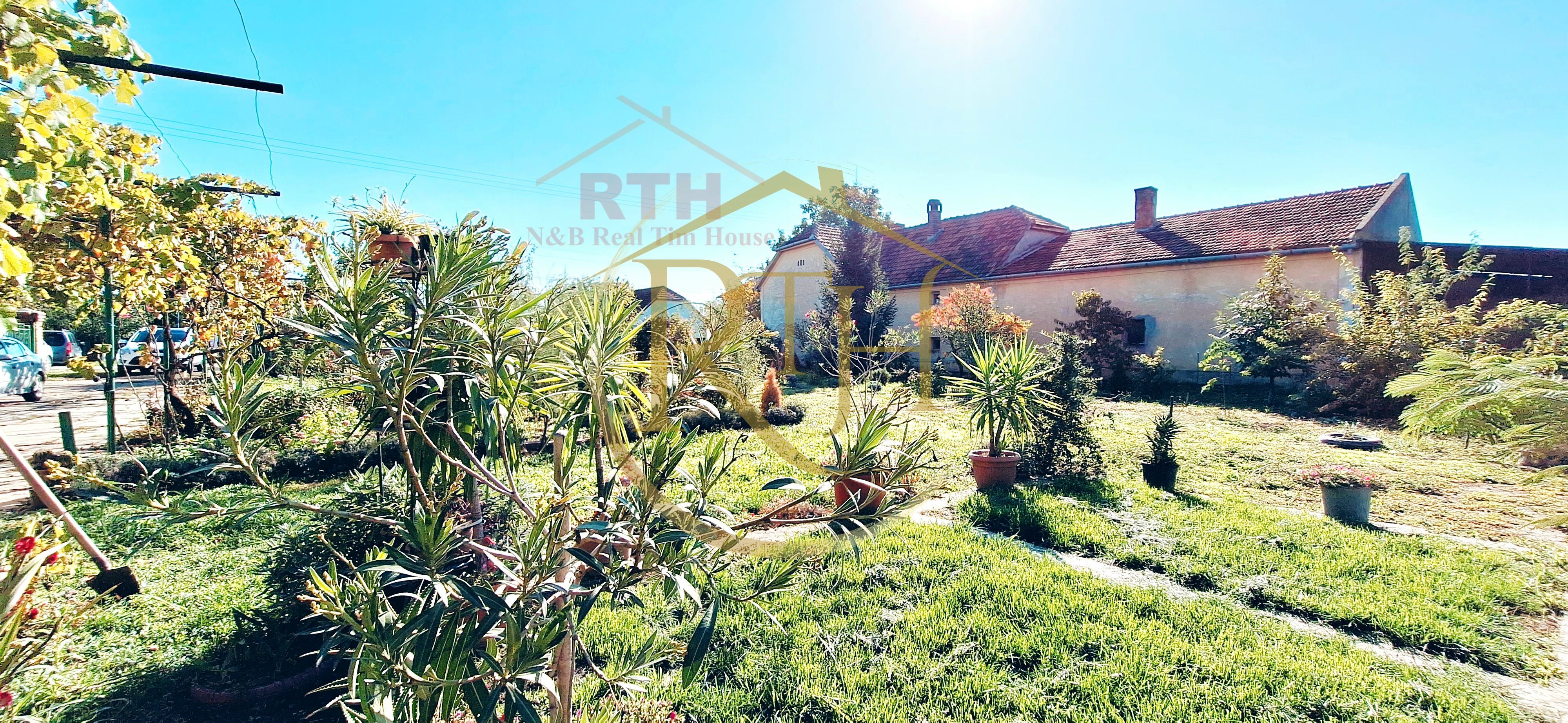 Casa cu 5 camere, teren 1500 mp, Beregsau Mare 0% Comision pentru cumparator — fotografia 4