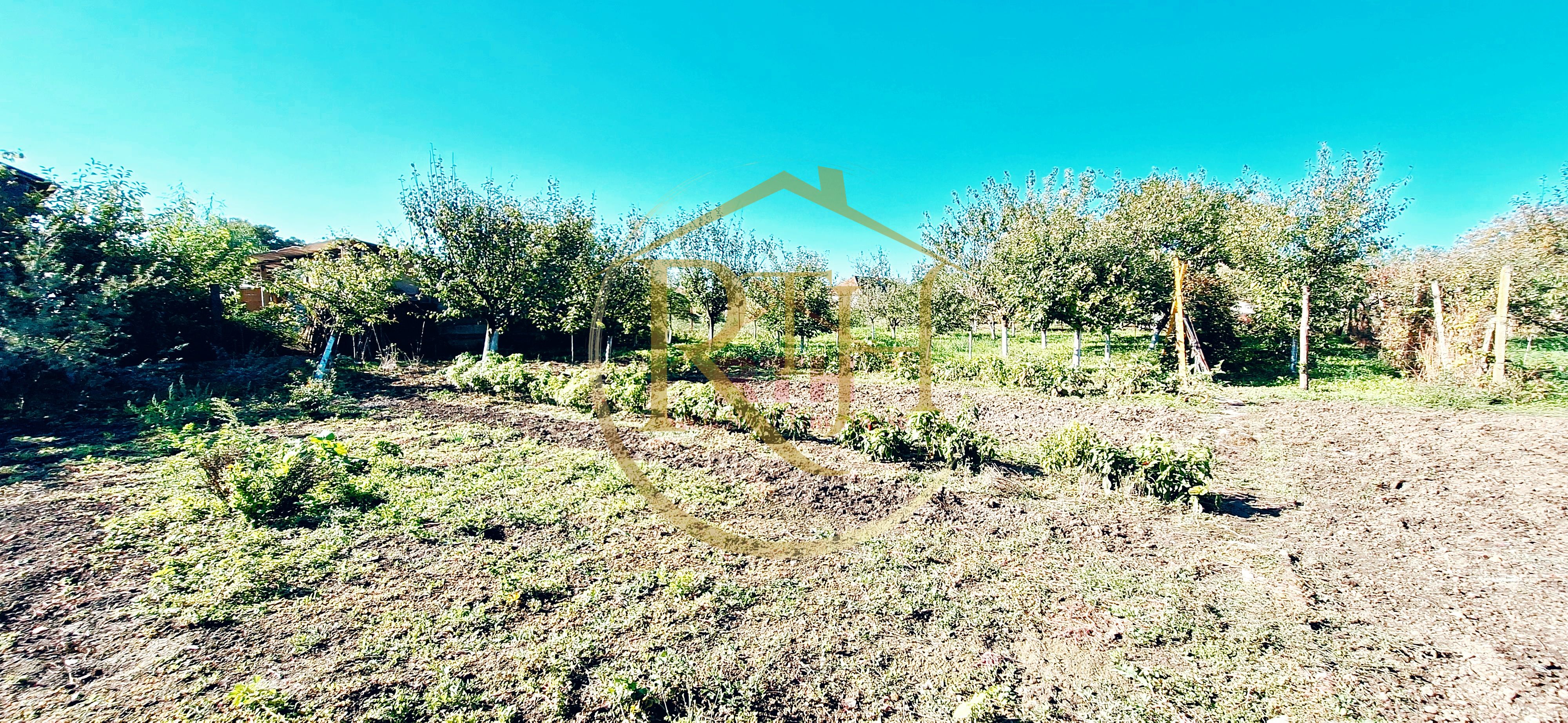 Casa cu 5 camere, teren 1500 mp, Beregsau Mare 0% Comision pentru cumparator — fotografia 6