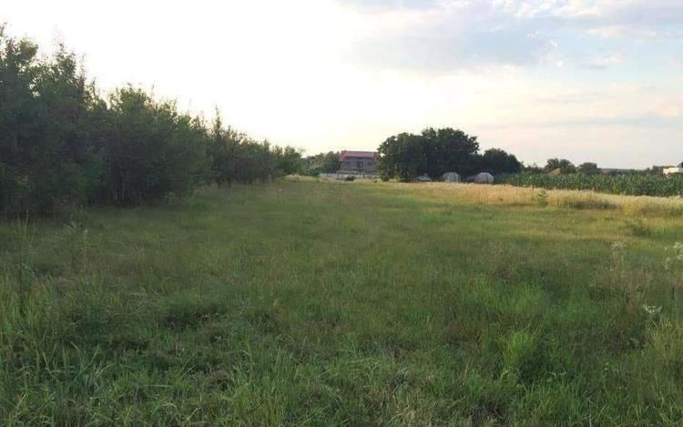 Teren de vanzare | Ciofliceni | Utilitati