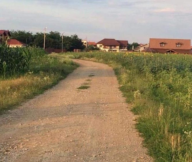 Teren de vanzare | Ciofliceni | Utilitati — fotografia 3
