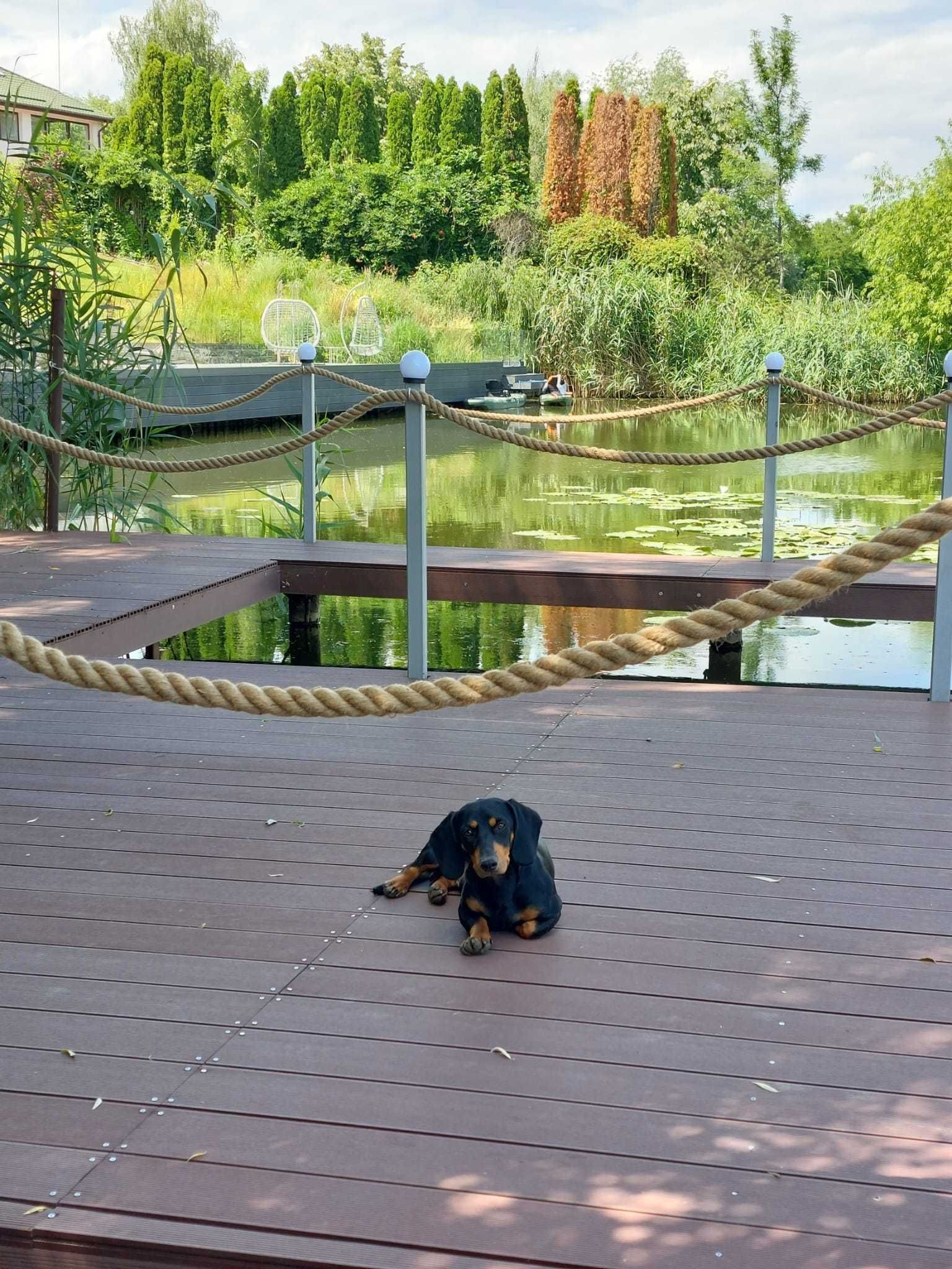 Vila cu ponton la lacul Snagov — fotografia 5