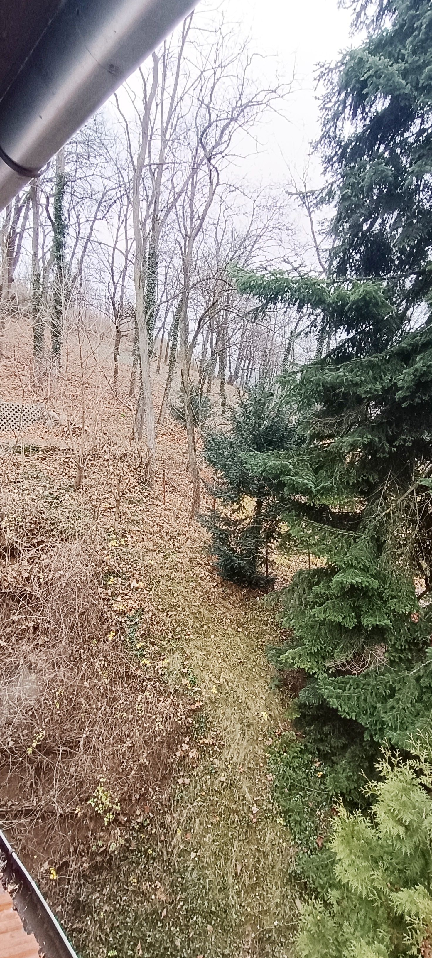 Proprietate cu priveliste si armonie placuta-Brasov — fotografia 10