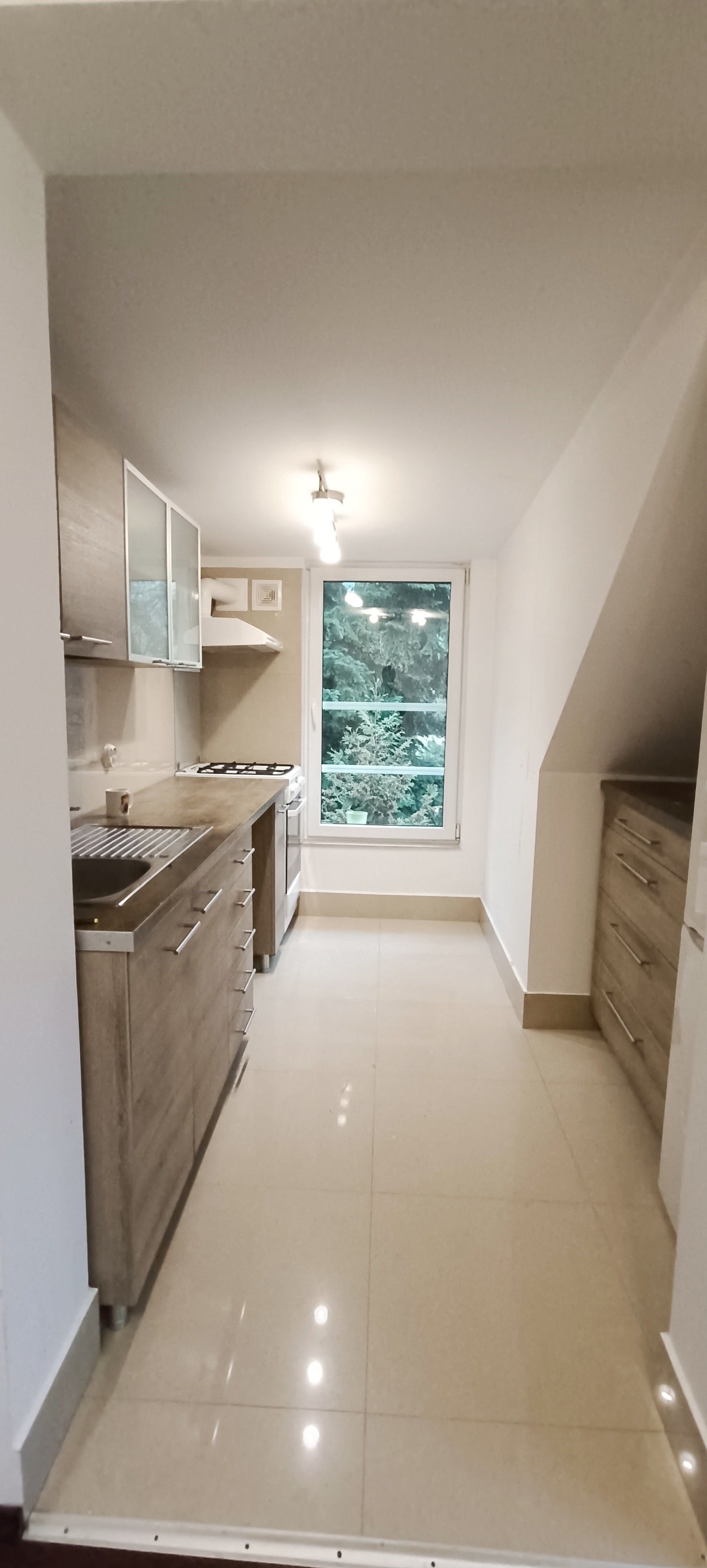Proprietate cu priveliste si armonie placuta-Brasov — fotografia 5