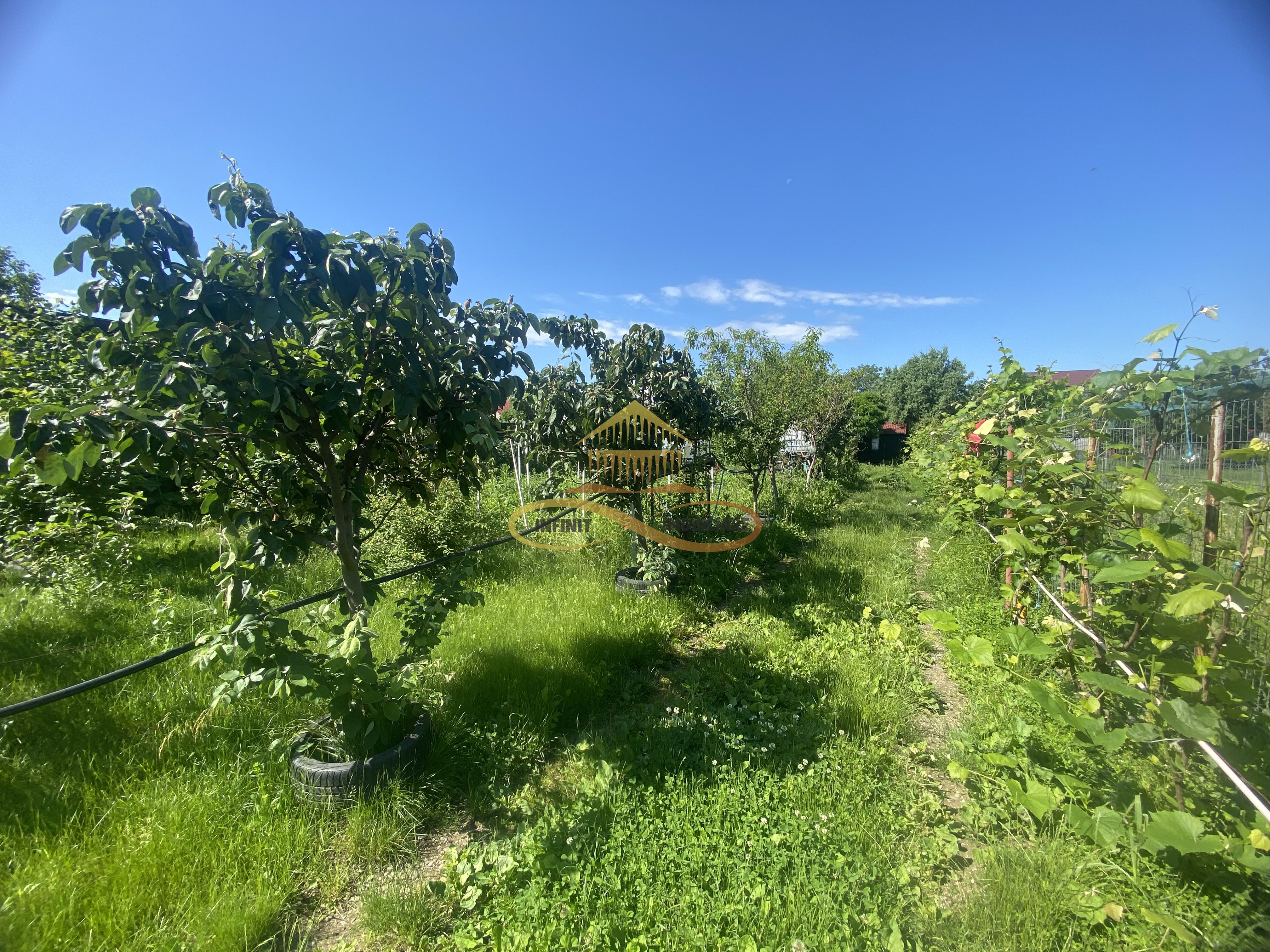 Teren intravilan - de vânzare / 750 mp, Gherăiești, Bacău
