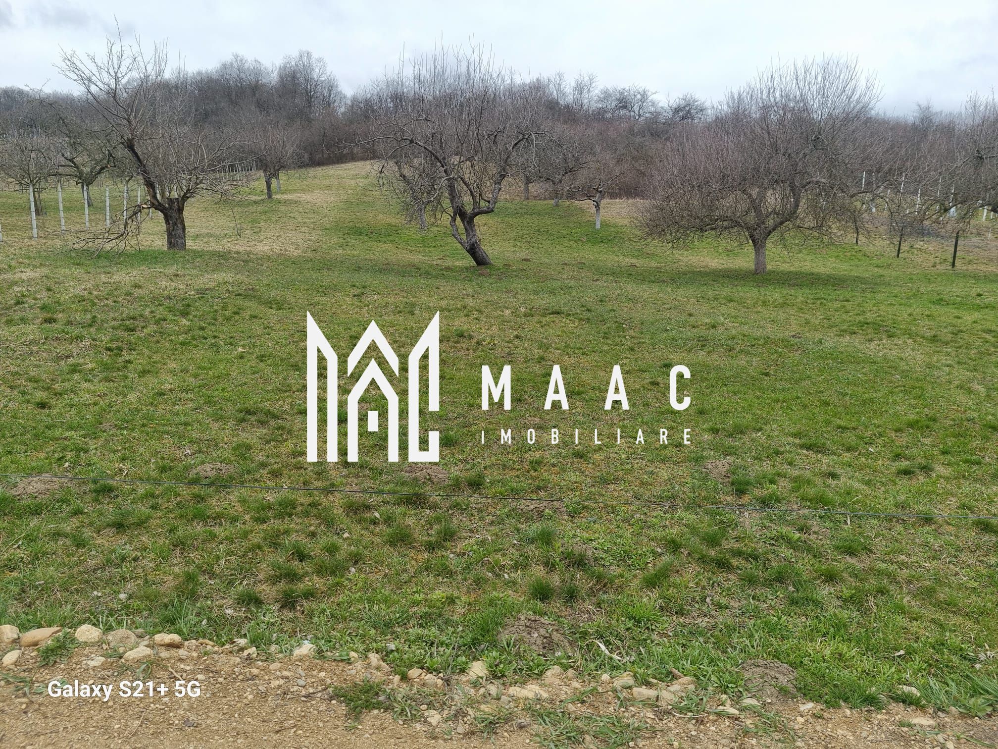 Teren 1400 mp | Valea Mărului | Parcelabil | Cabane / Retreat în natură