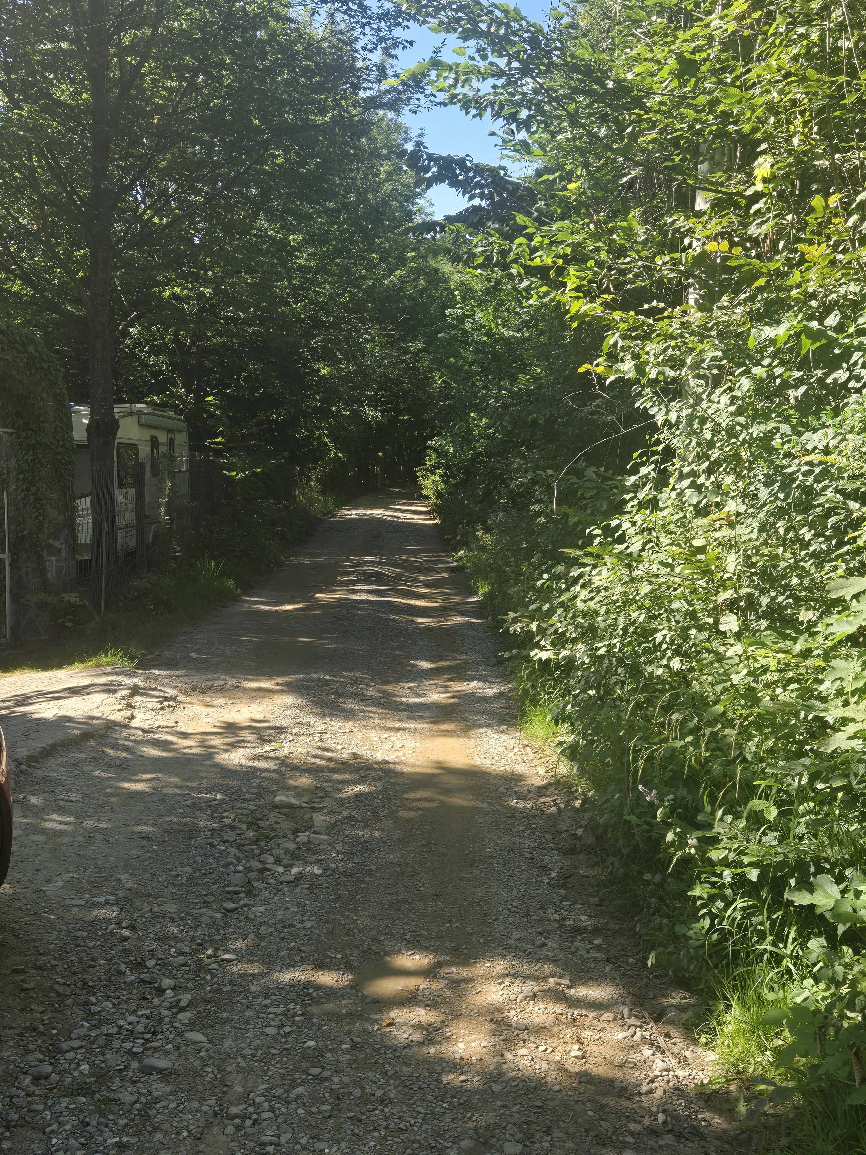 Teren Valea Doftanei,  zona Pe Vale - Baraj Paltinu — fotografia 10