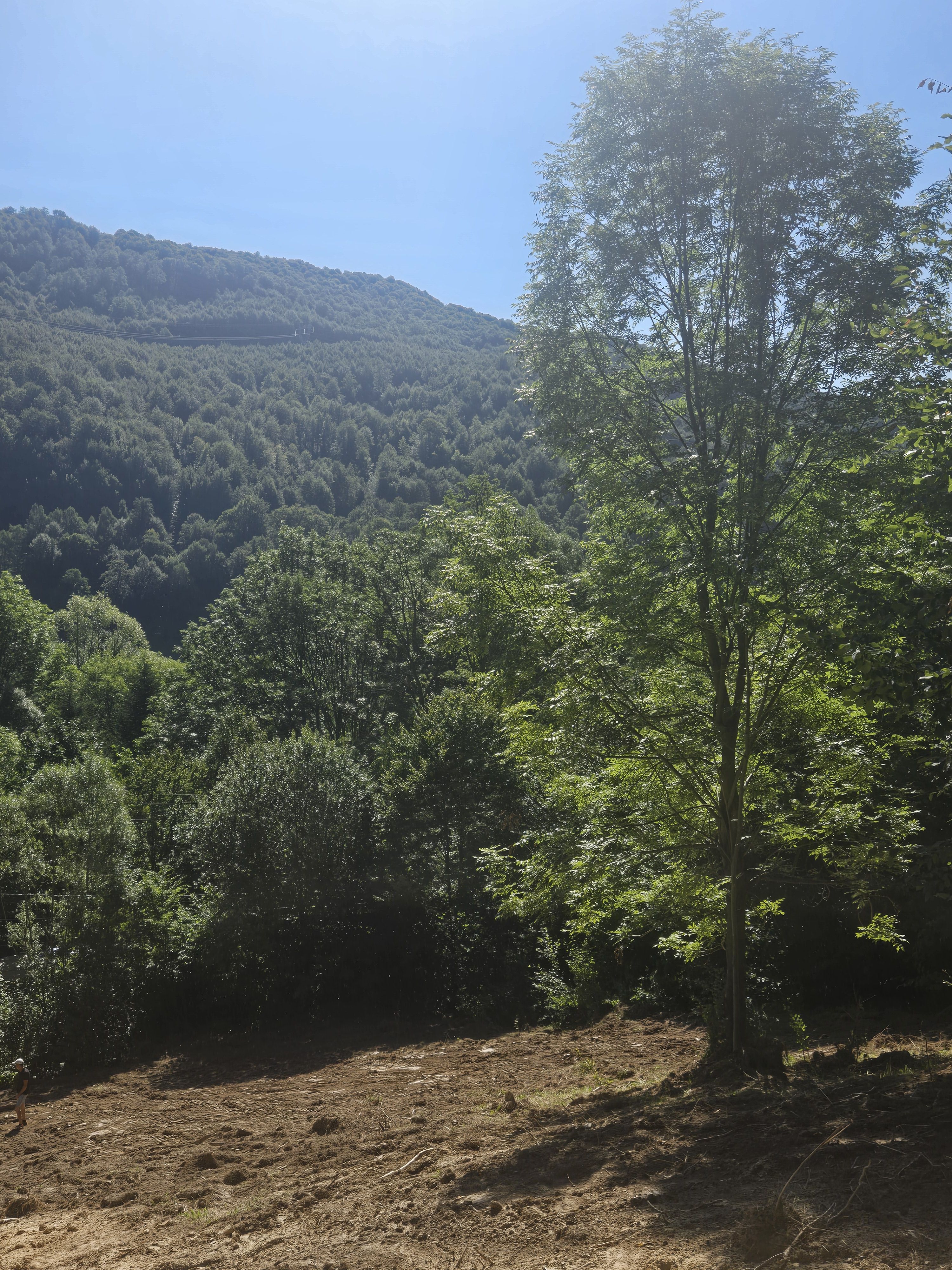 Teren Valea Doftanei,  zona Pe Vale - Baraj Paltinu — fotografia 6