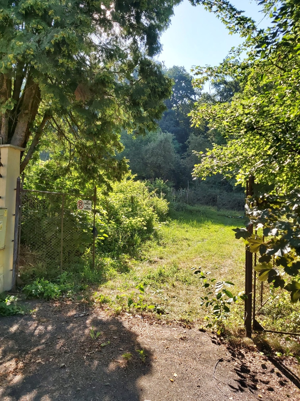 Vand teren i.v. cu toate utilitatile pe Platoul Cornesti, S = 5124 m2