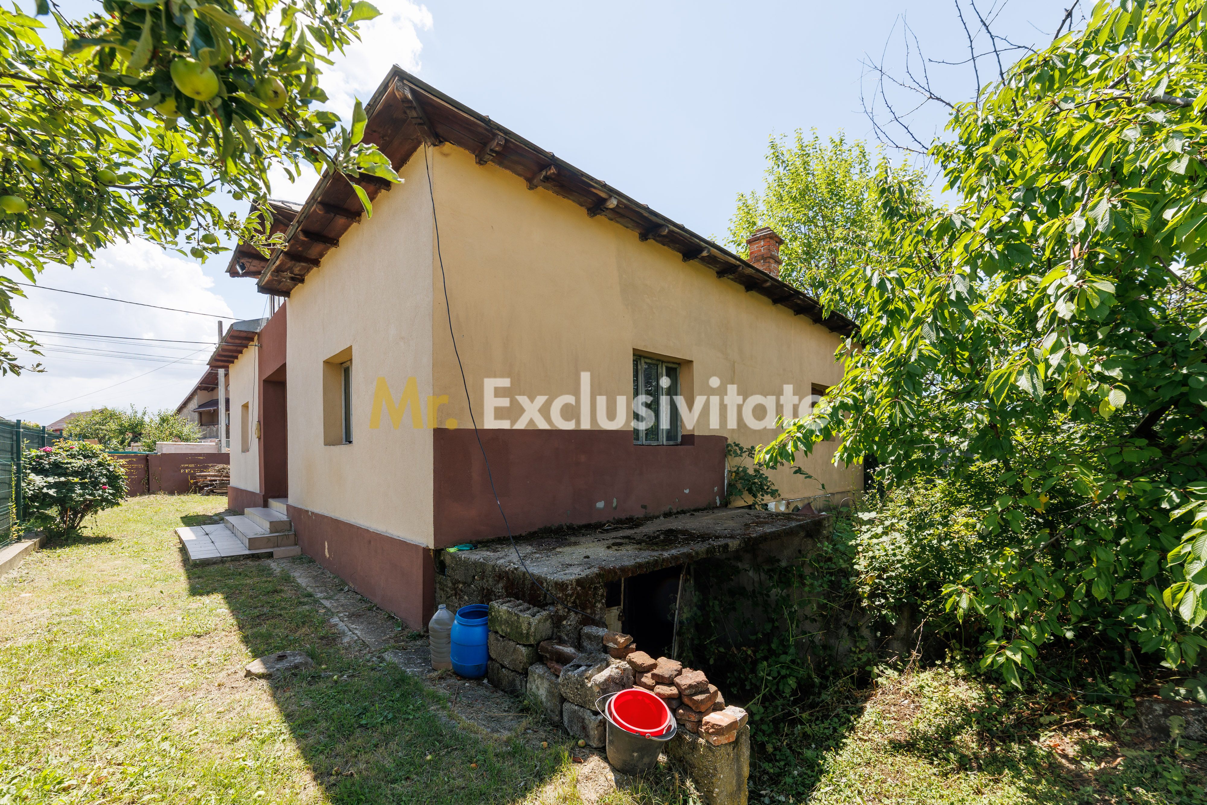 Casa cu teren - Prundu-Ideala pentru locuit sau dezvoltare imobiliara — fotografia 13