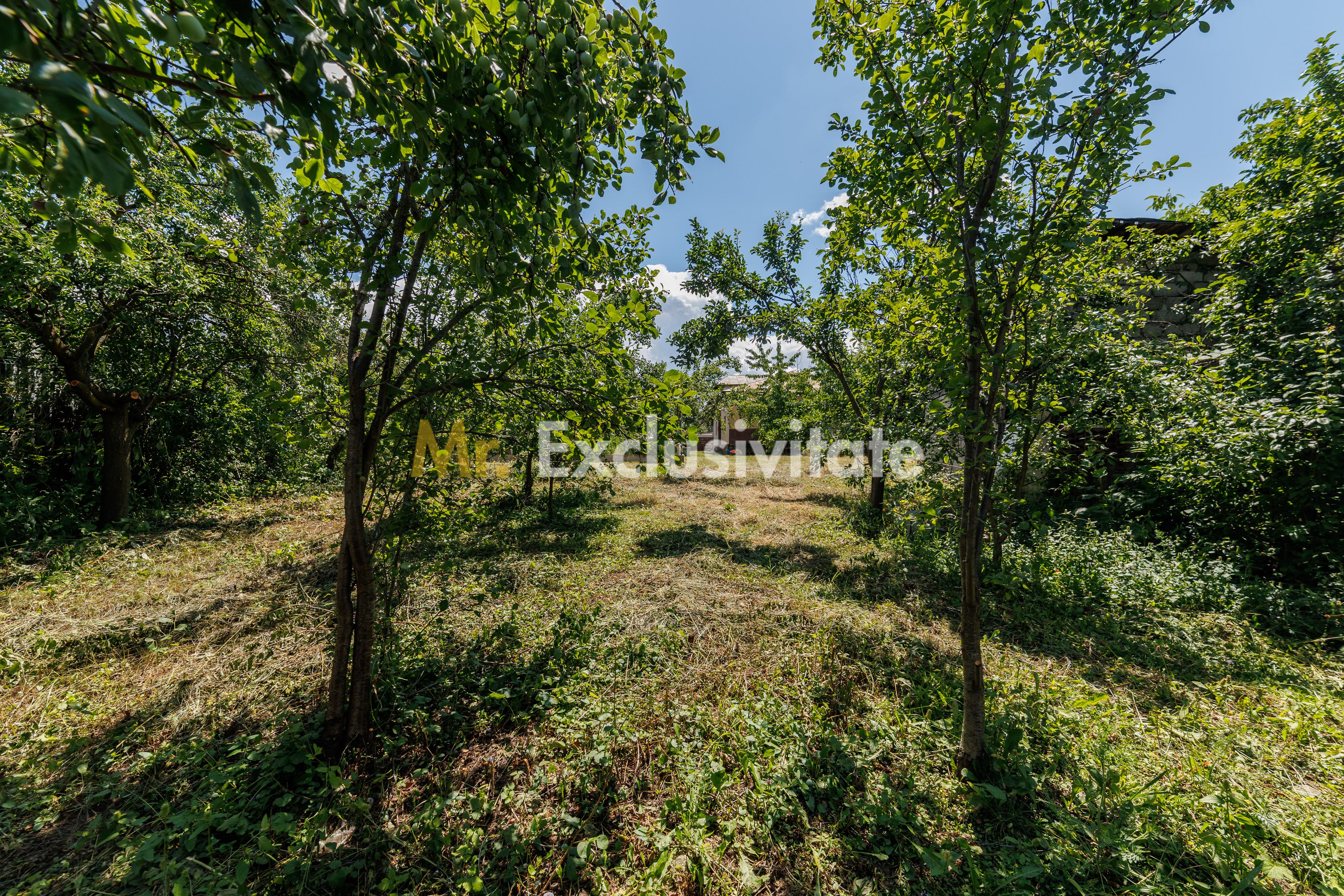 Casa cu teren - Prundu-Ideala pentru locuit sau dezvoltare imobiliara — fotografia 15