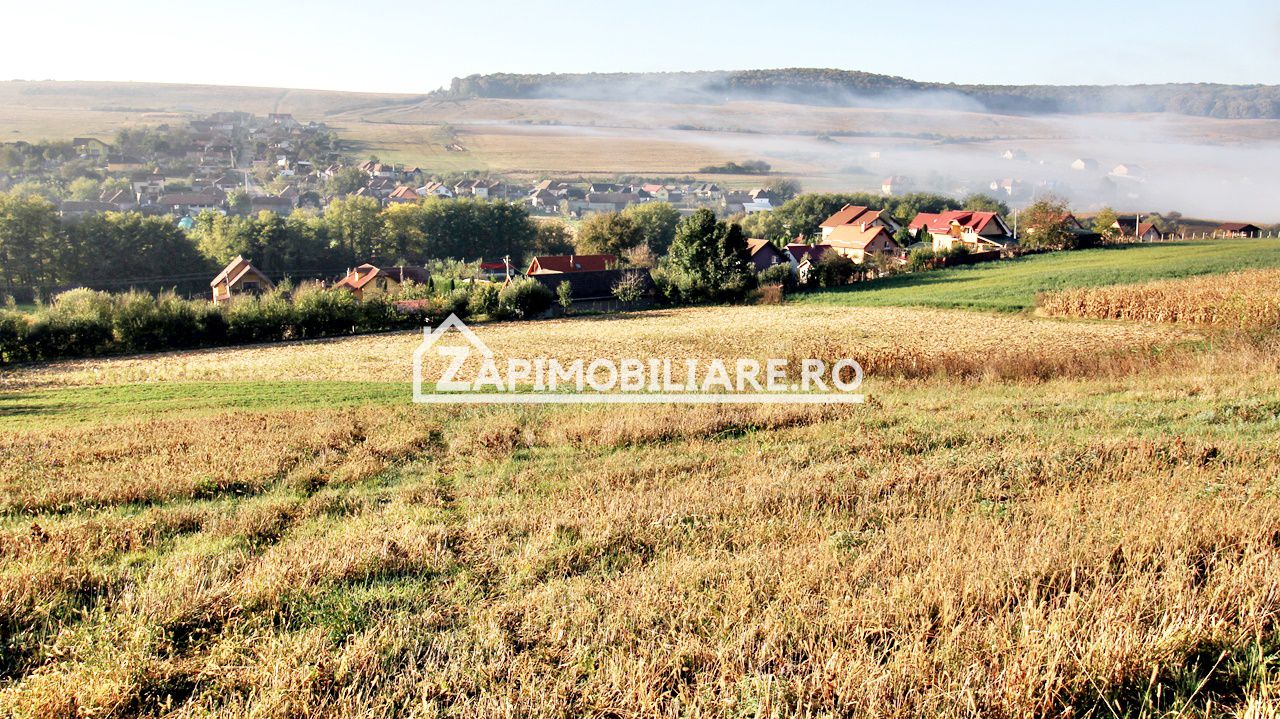 Teren 25.000 mp.  Comuna Voiniceni ,12 euro mp.comision ZERO