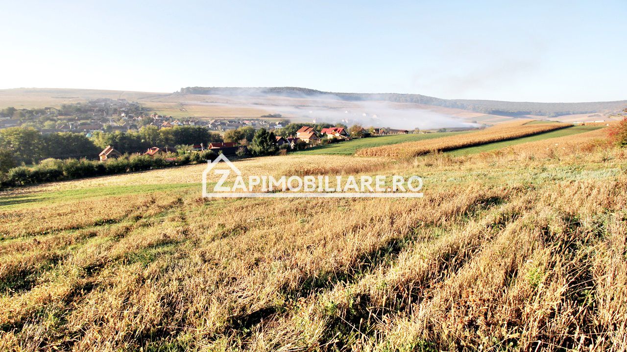 Teren 25.000 mp.  Comuna Voiniceni ,12 euro mp.comision ZERO — fotografia 3