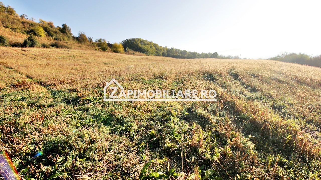 Teren 25.000 mp.  Comuna Voiniceni ,12 euro mp.comision ZERO — fotografia 4