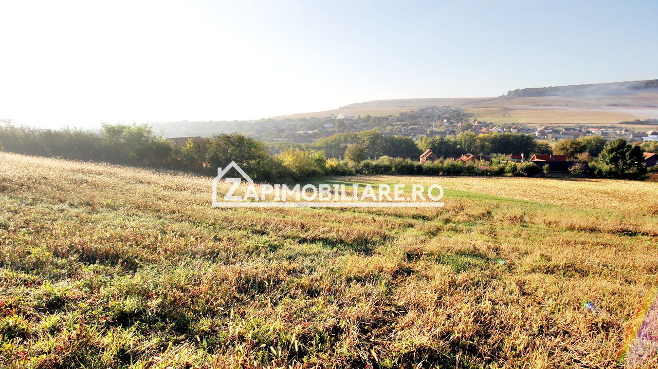 Teren 25.000 mp.  Comuna Voiniceni ,12 euro mp.comision ZERO — fotografia 5