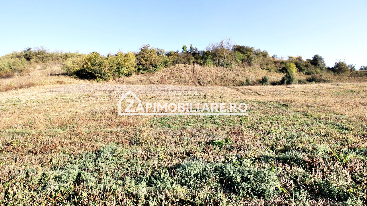 Teren 25.000 mp.  Comuna Voiniceni ,12 euro mp.comision ZERO — fotografia 6