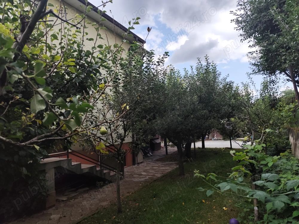Zonă deosebită, oportunitate de investiție casă individuala in Gruia — fotografia 6